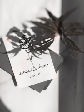 A book with a soft focus, featuring Arabic text and a decorative design. It's positioned over another book, with a shadow of a leaf cast onto its surface. The overall tone is subtle and contemplative.