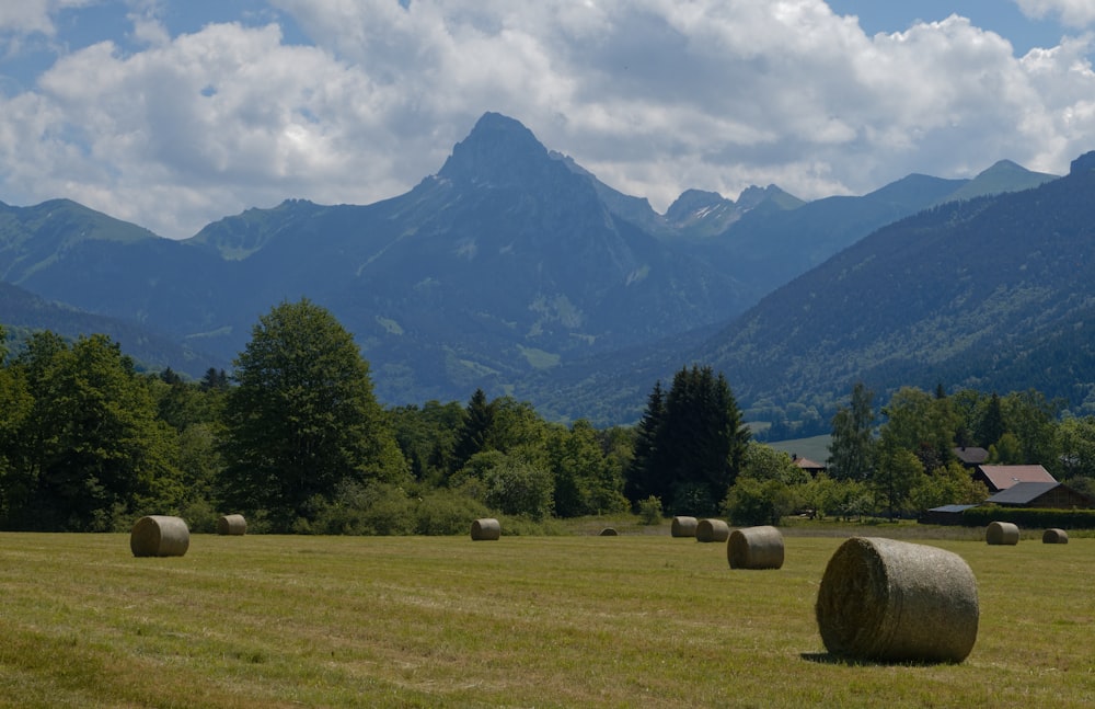 green trees on green grass field near mountain under white clouds and blue sky during daytime