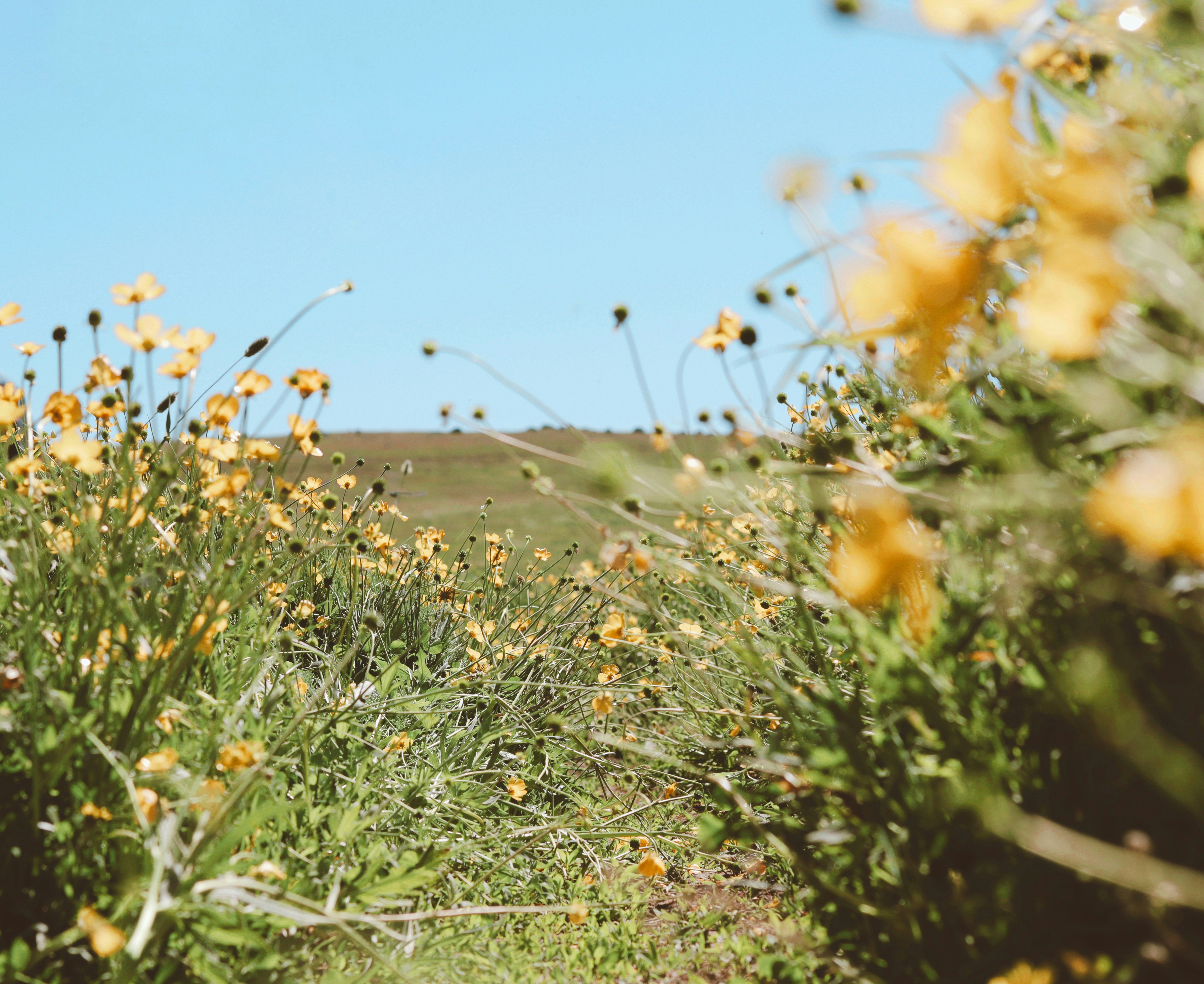 Photo by habibdadkhah