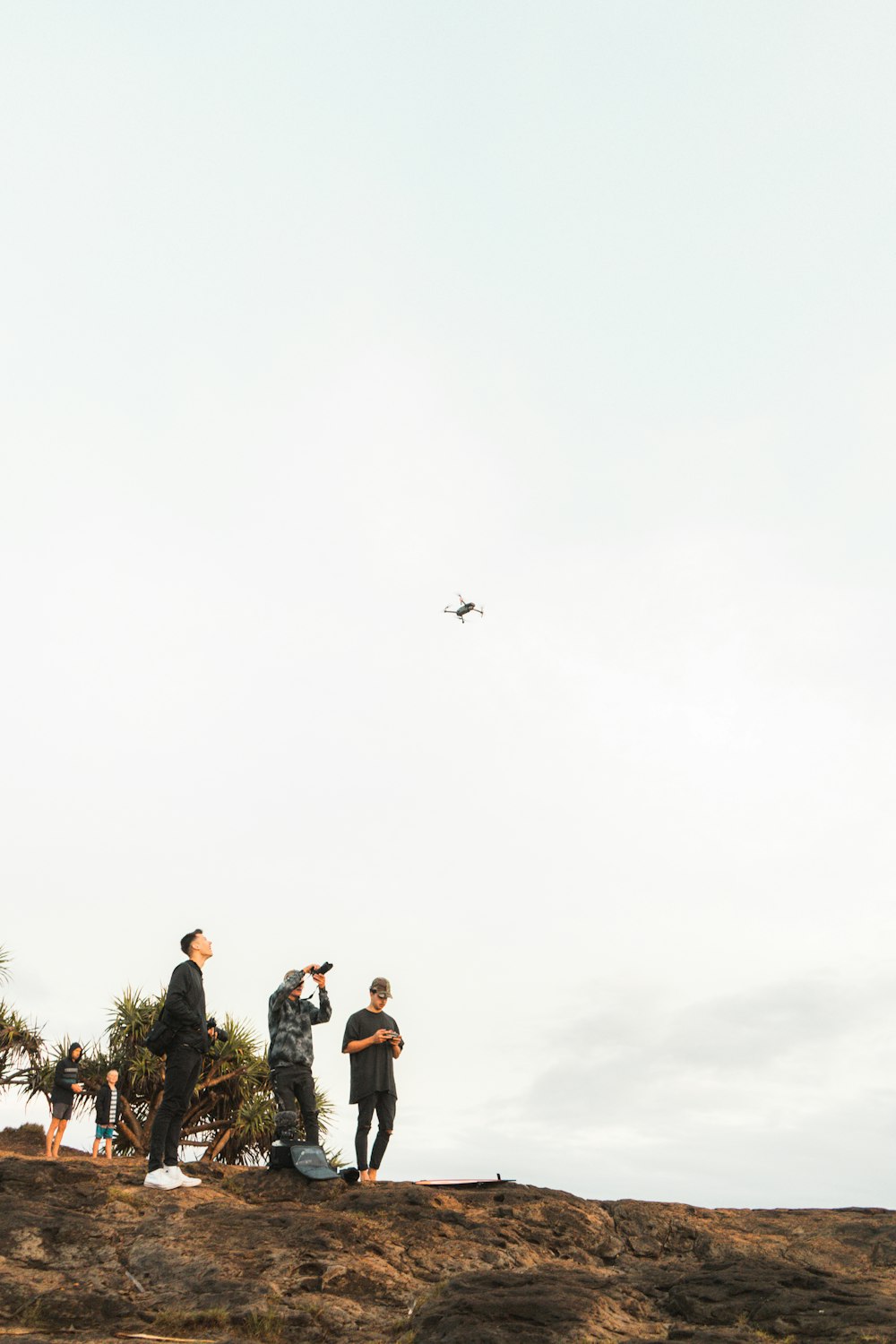 people standing on top of mountain with birds flying during daytime