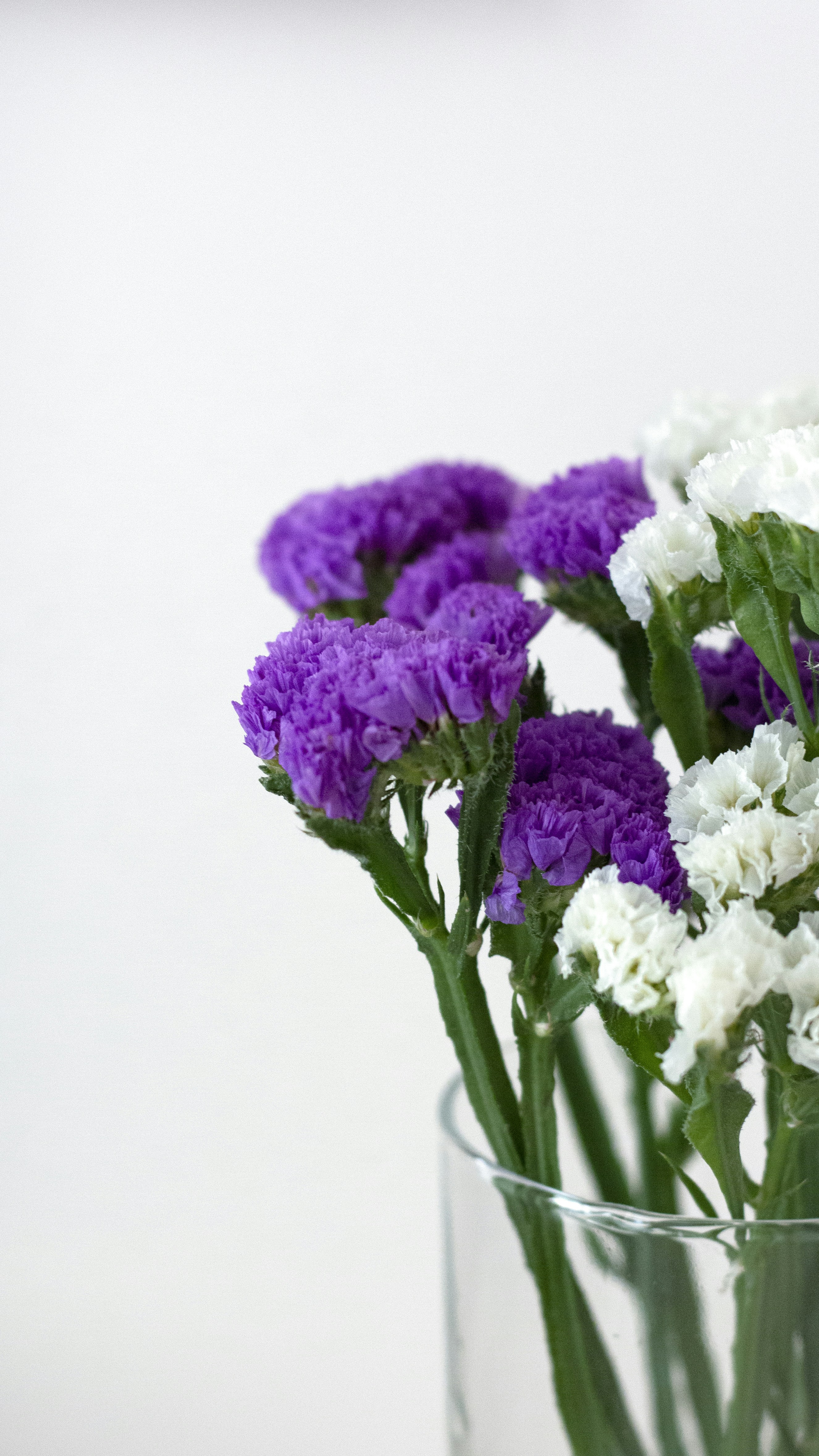 Photo by fatememohebbi