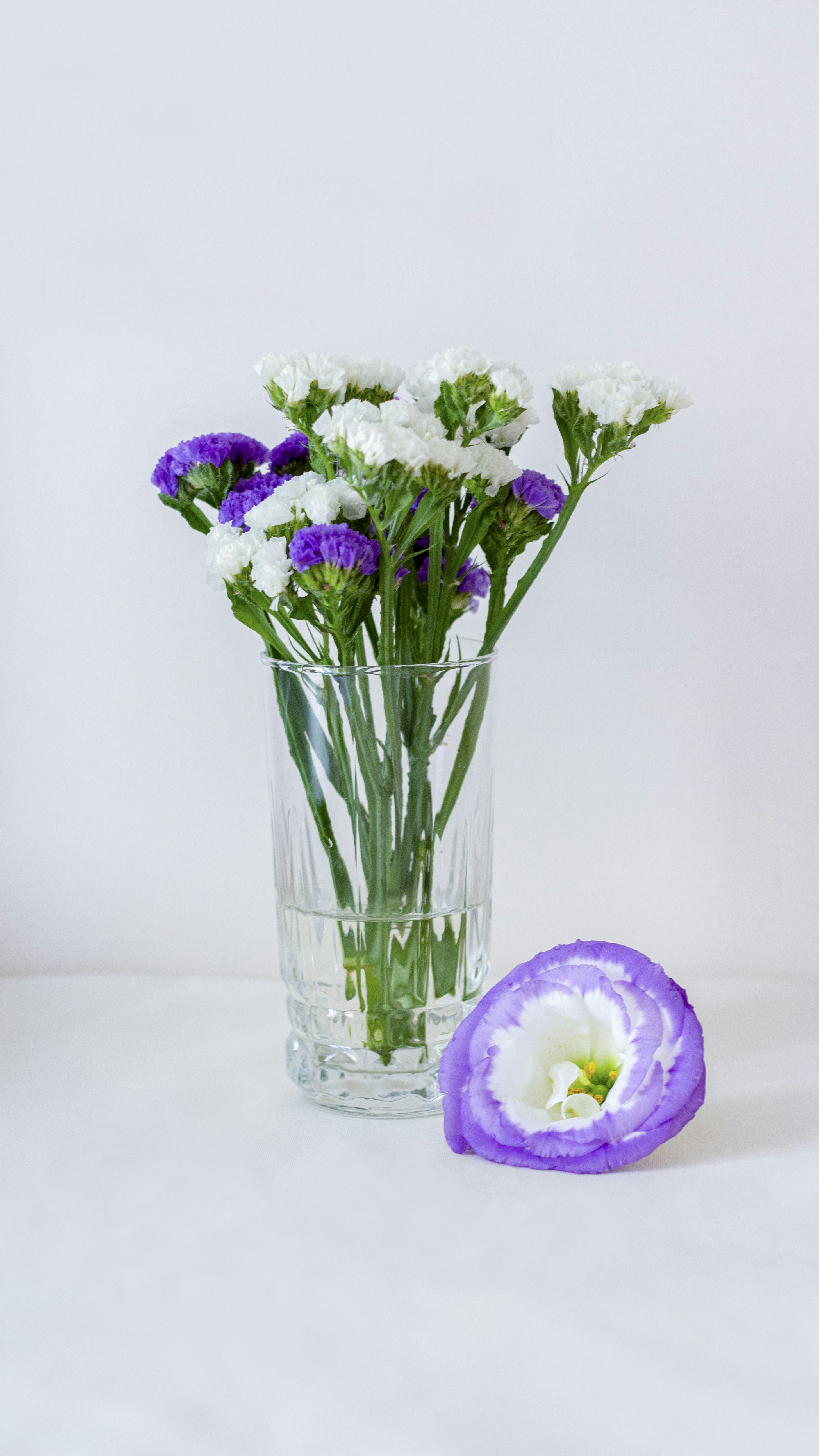 Photo by fatememohebbi