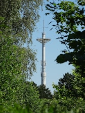 A close-up of a LoRa radio device mounted on a wooden post in a forested area, with sunlight filtering through the trees.