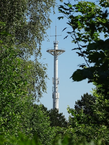 A close-up of a LoRa radio device mounted on a wooden post in a forested area, with sunlight filtering through the trees.