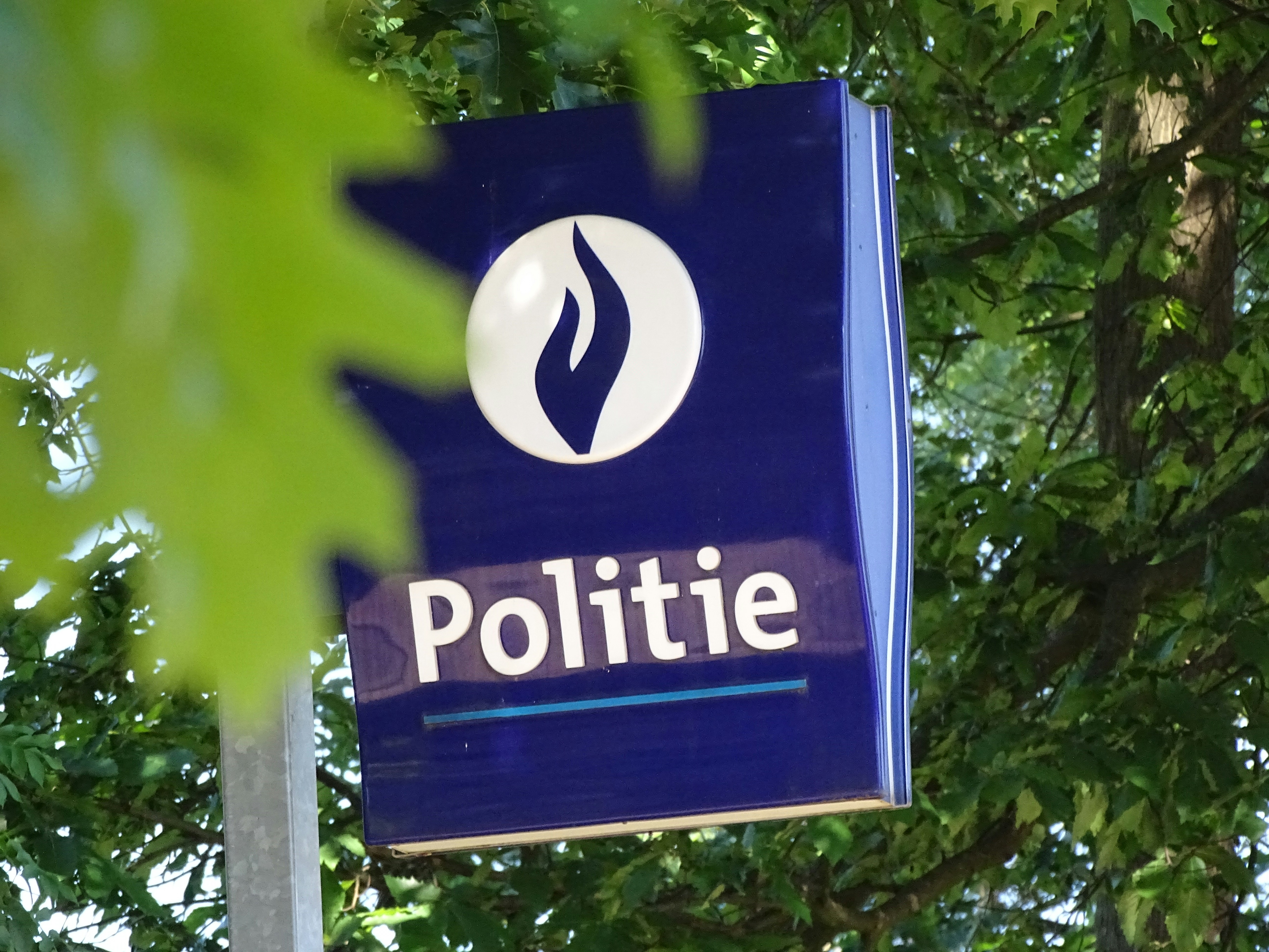 Pelayanan publik