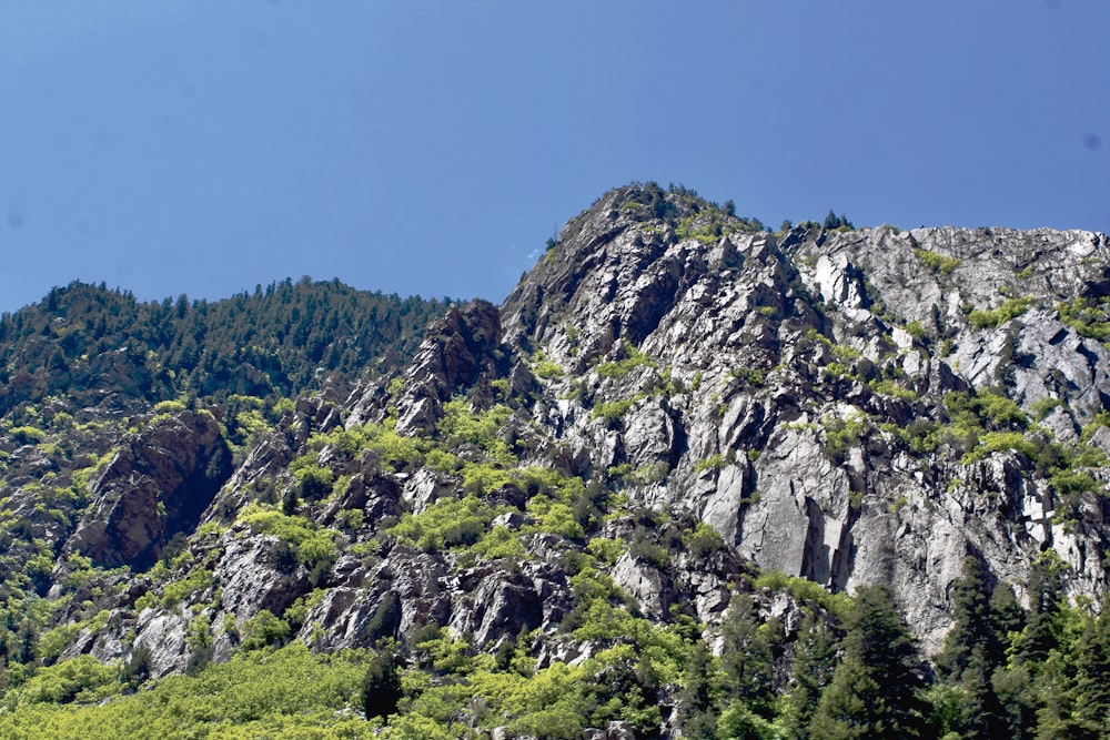 gray rocky mountain under blue sky during daytime