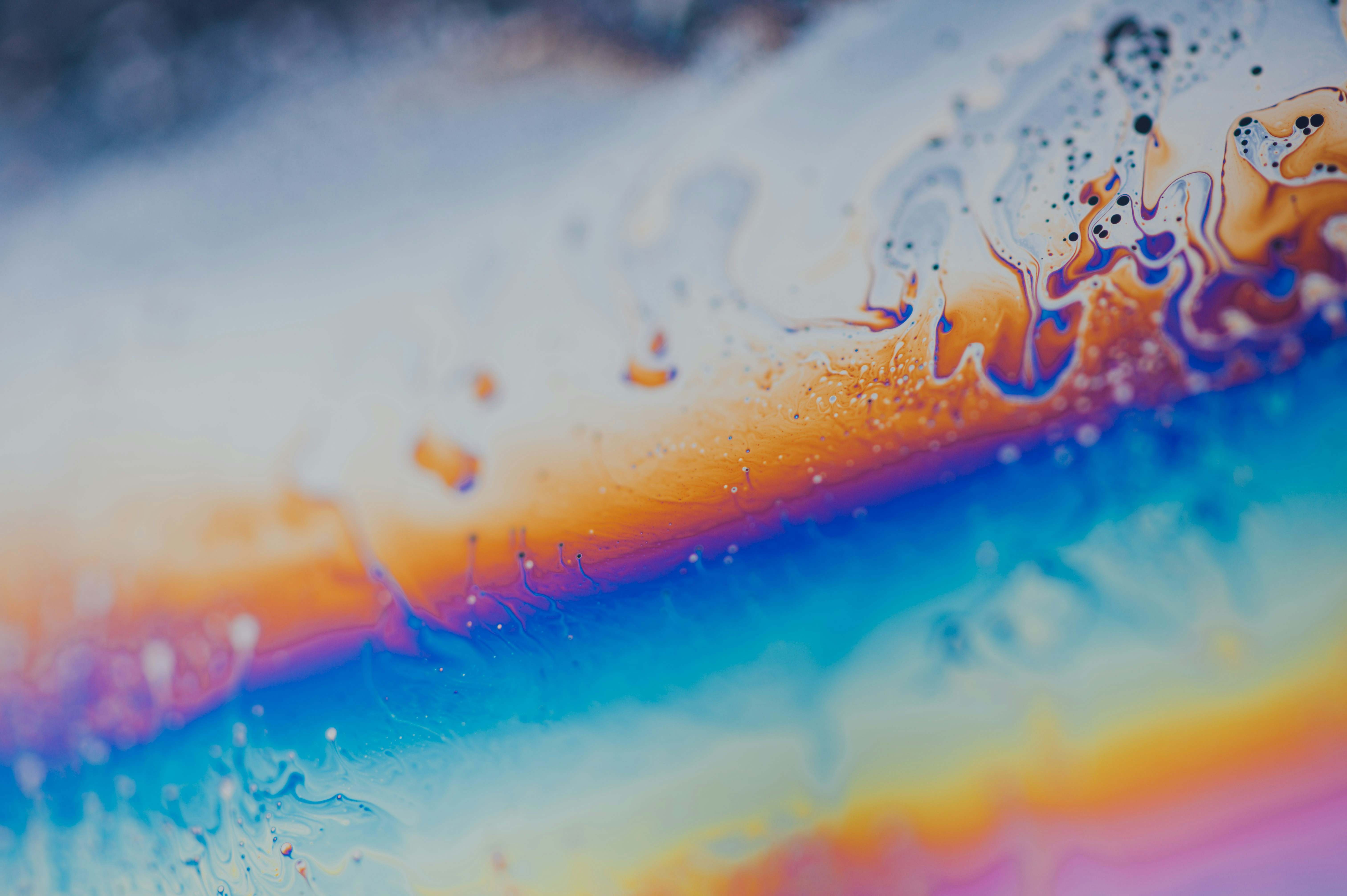 Photo by chuttersnap