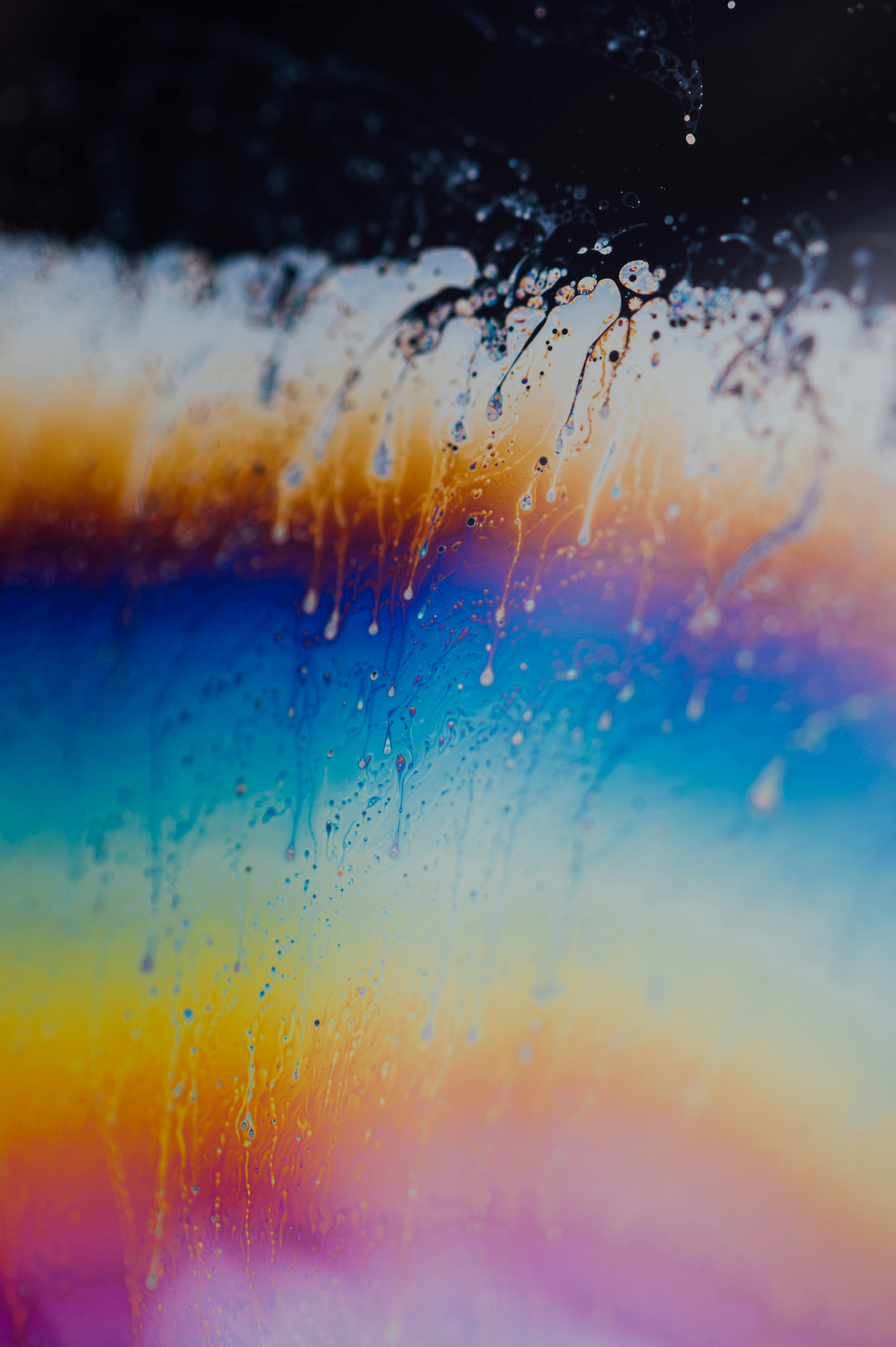 Photo by chuttersnap