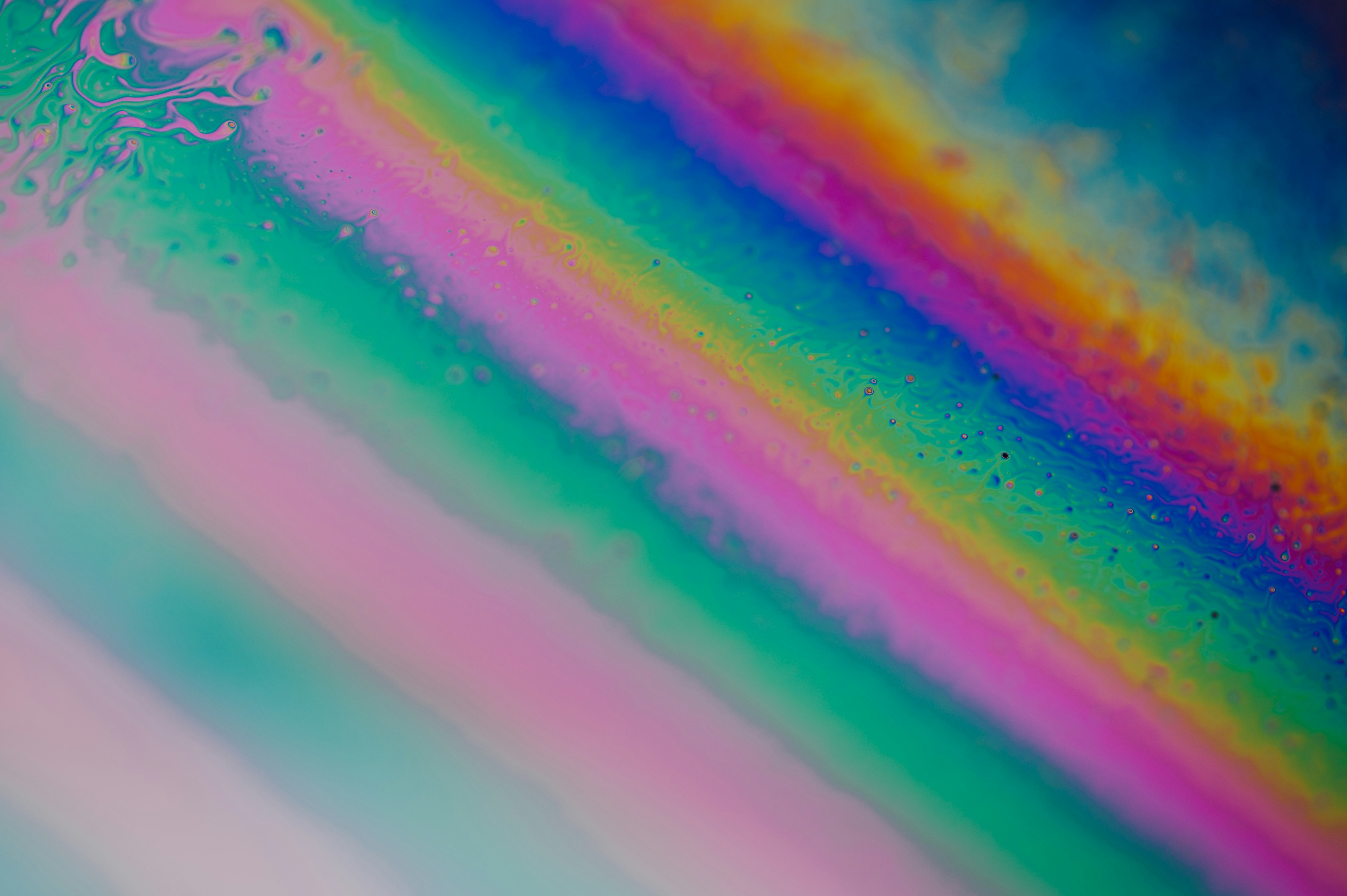 Photo by chuttersnap