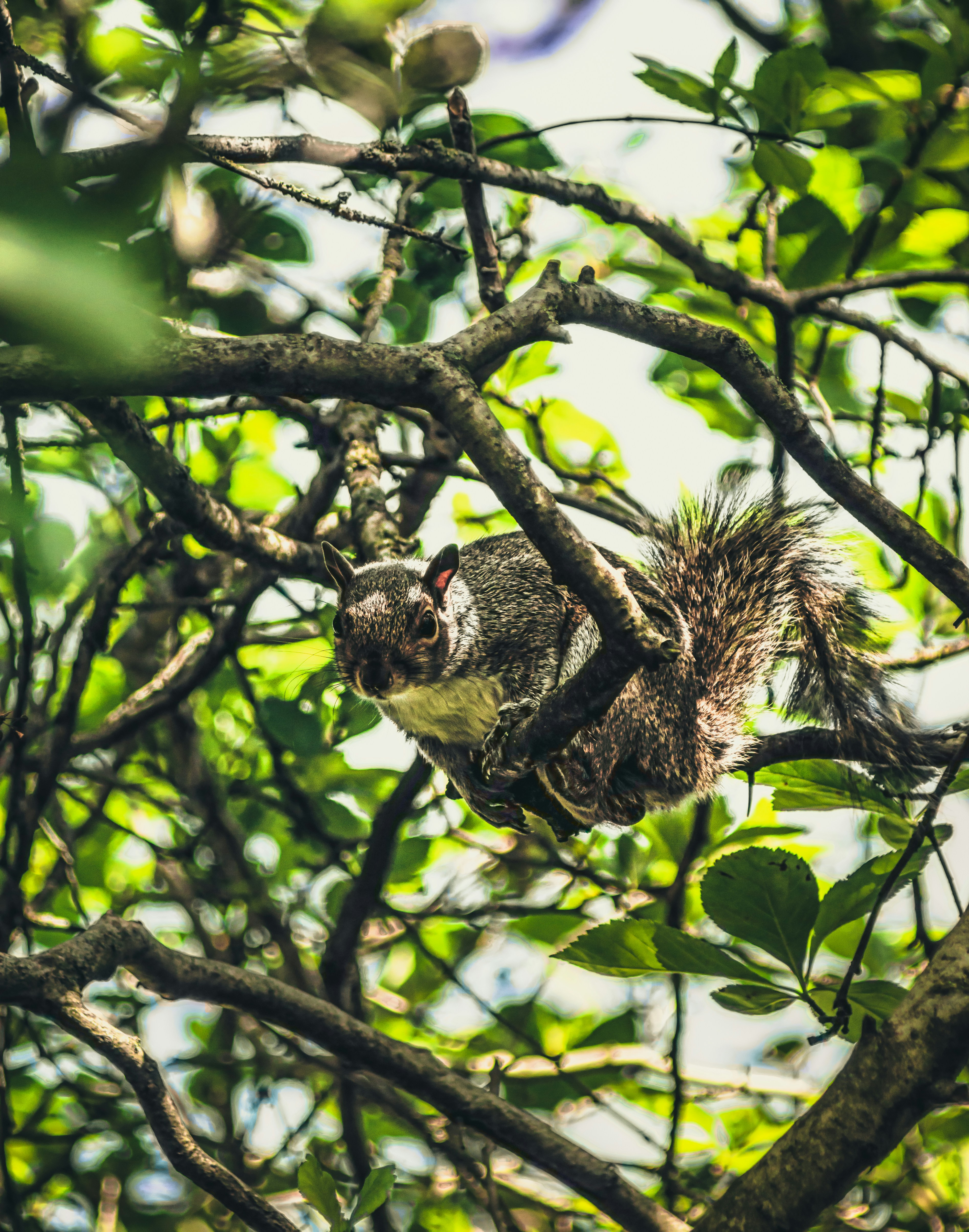 Photo by kmitchhodge