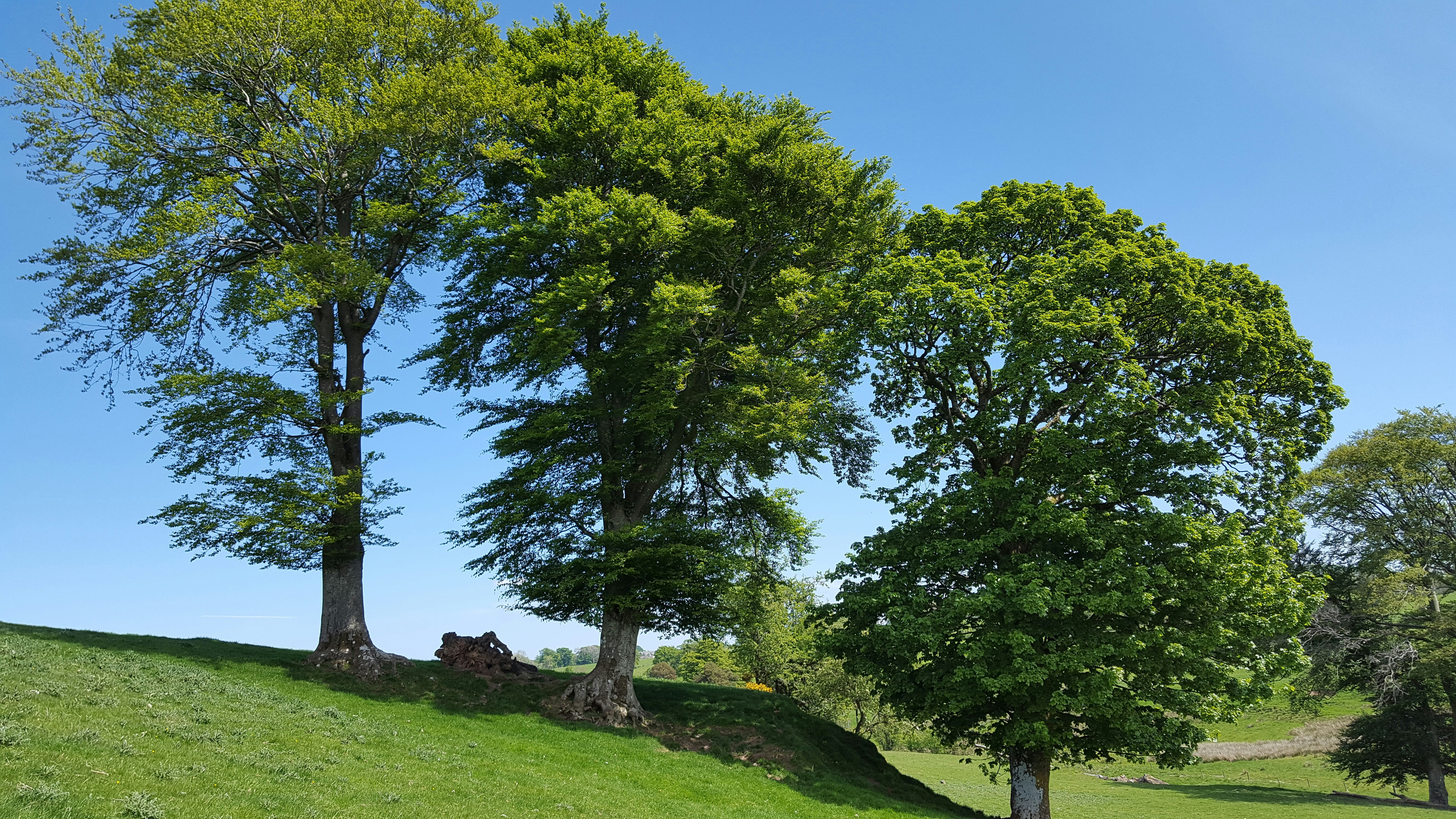 Photo by littlepiscesdreaming