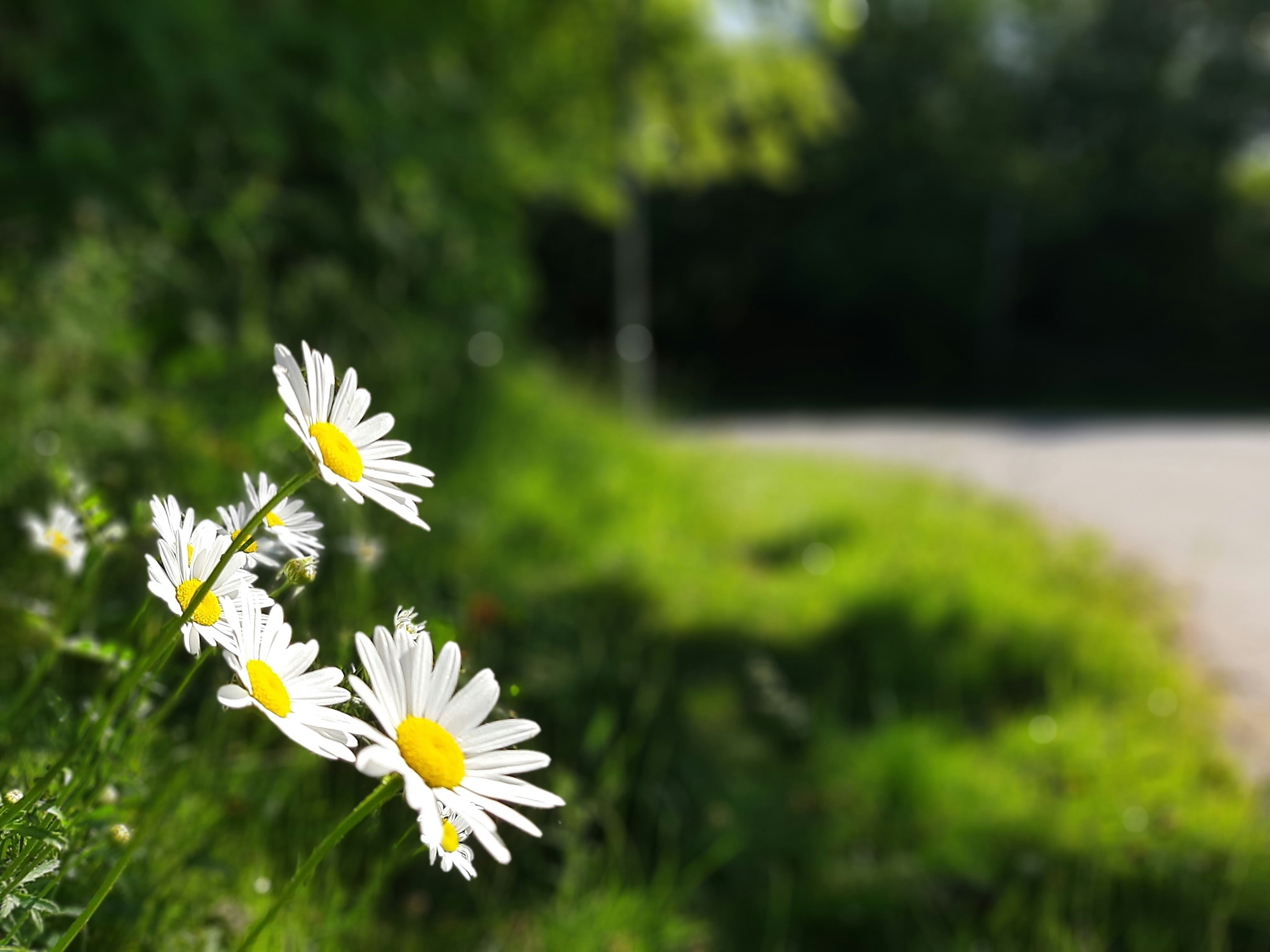 牧謙莊 Amitabha1030 Unsplash Photo Community