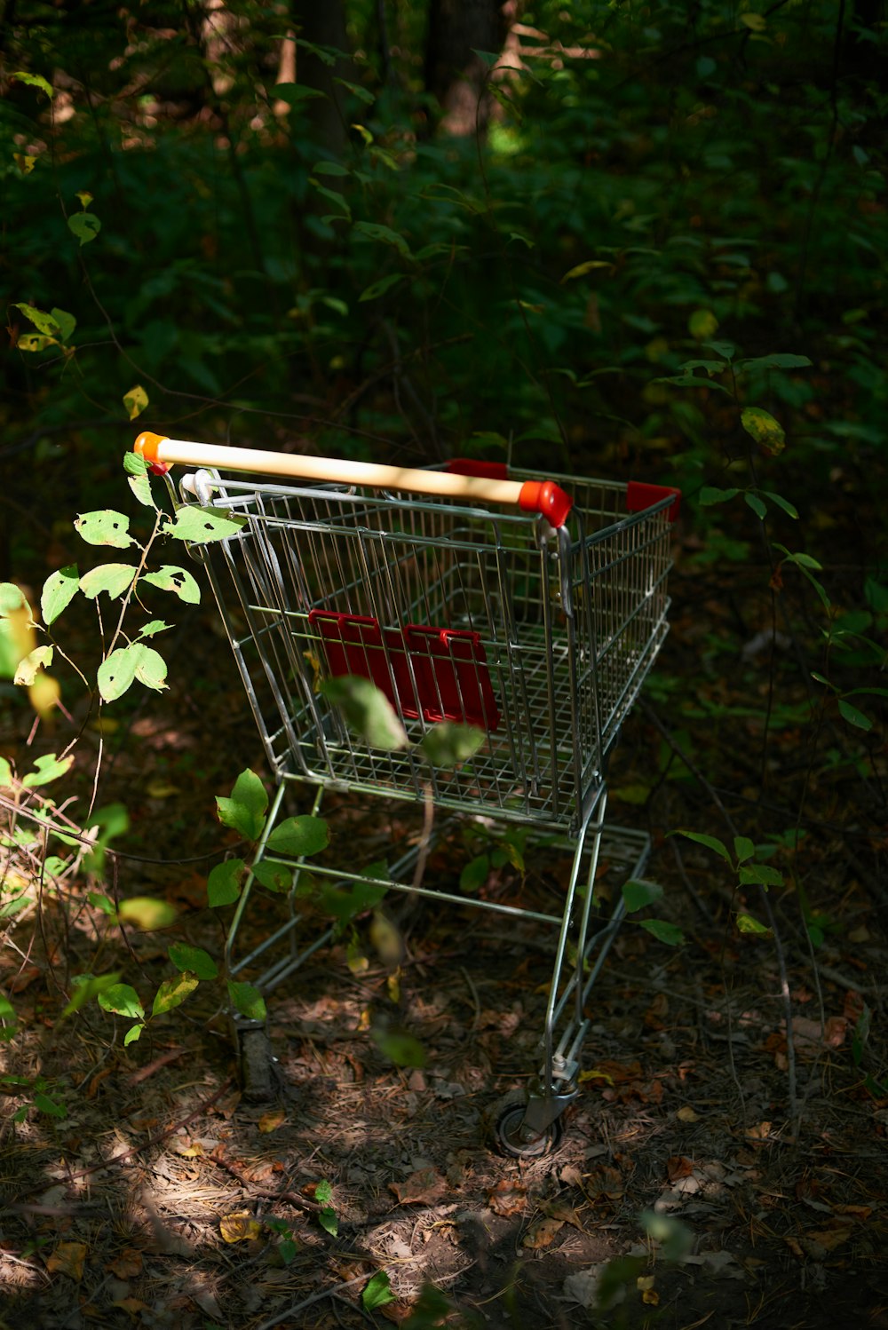 shopping cart on brown dried leaves