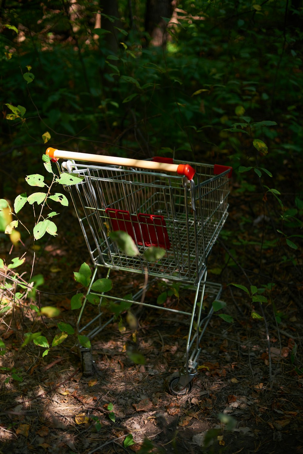 panier d’achat sur feuilles séchées brunes