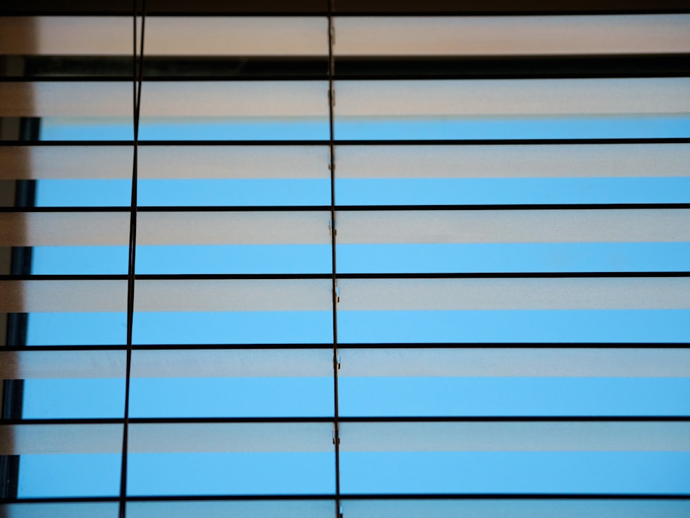 blue and white window blinds