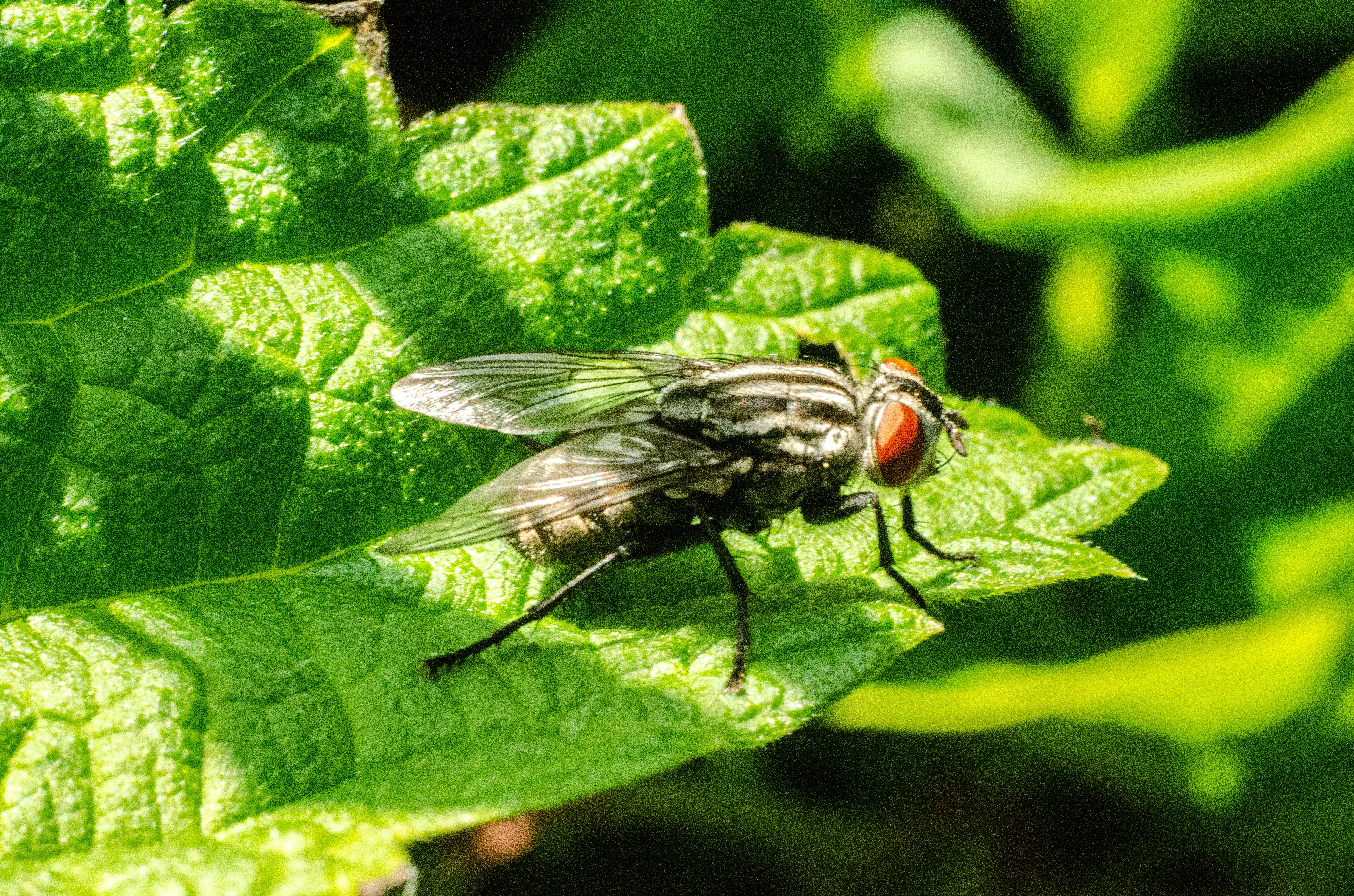 Photo by viktortalashuk