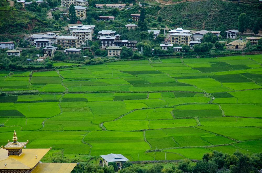 aerial view of green grass field during daytime