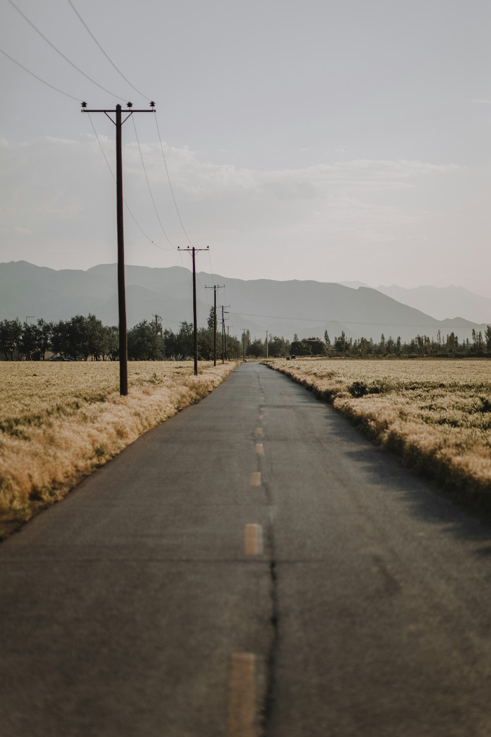 gray concrete road between green grass field during daytime