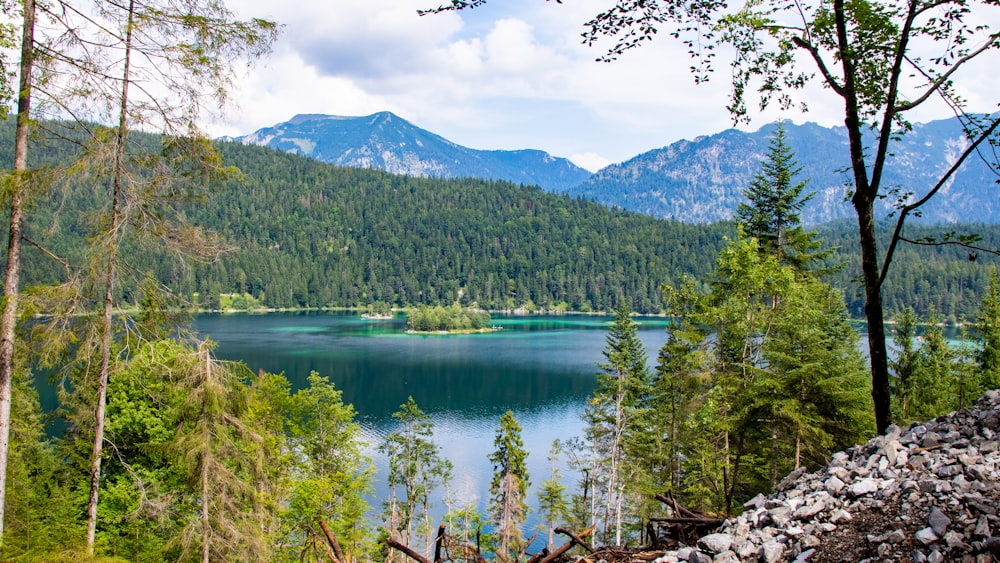 green trees near lake under blue sky during daytime