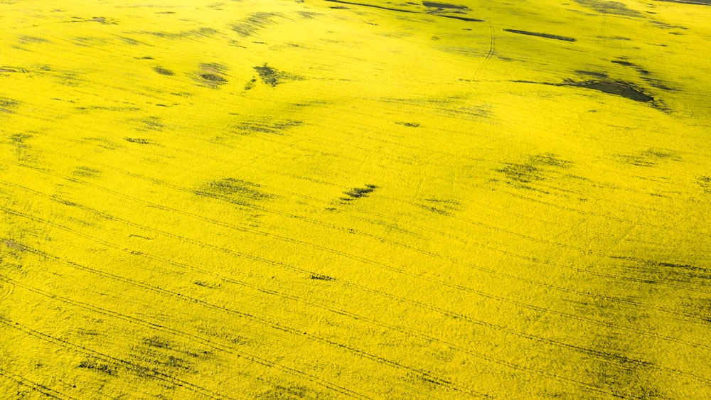 peinture abstraite verte et jaune