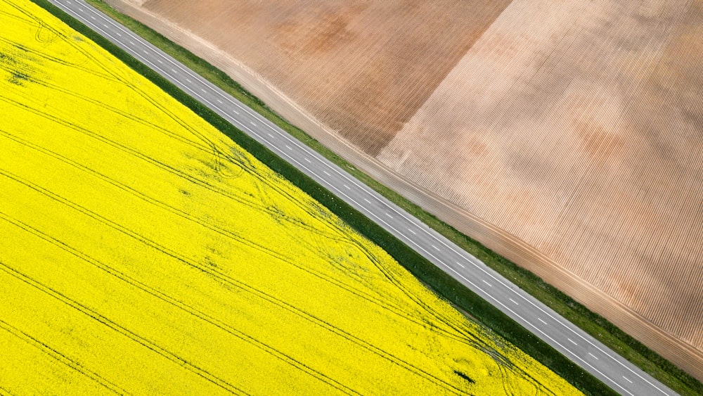 yellow and brown field during daytime