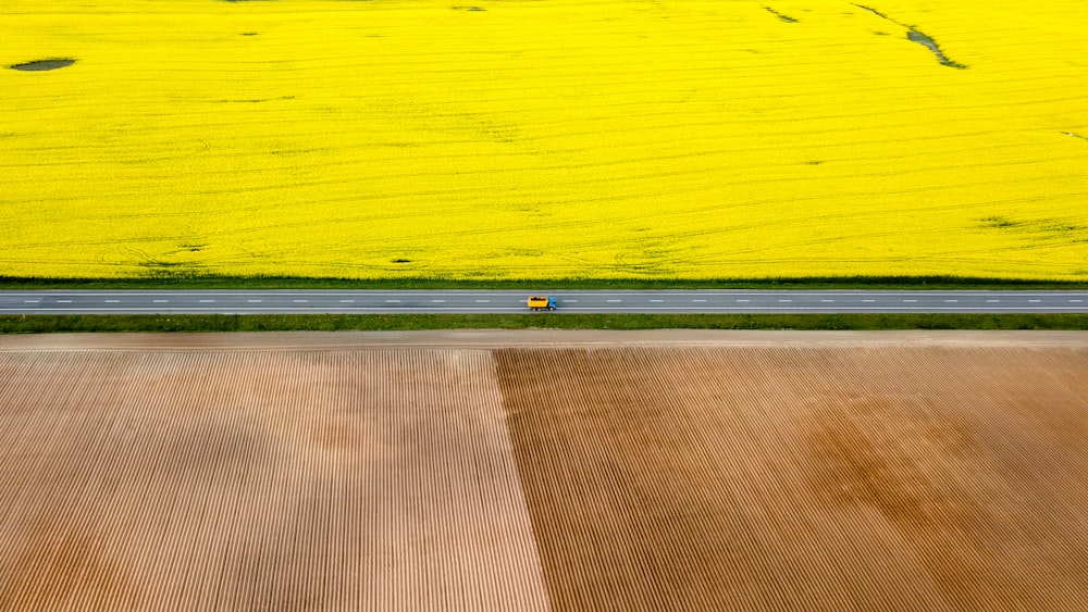 green grass field during daytime