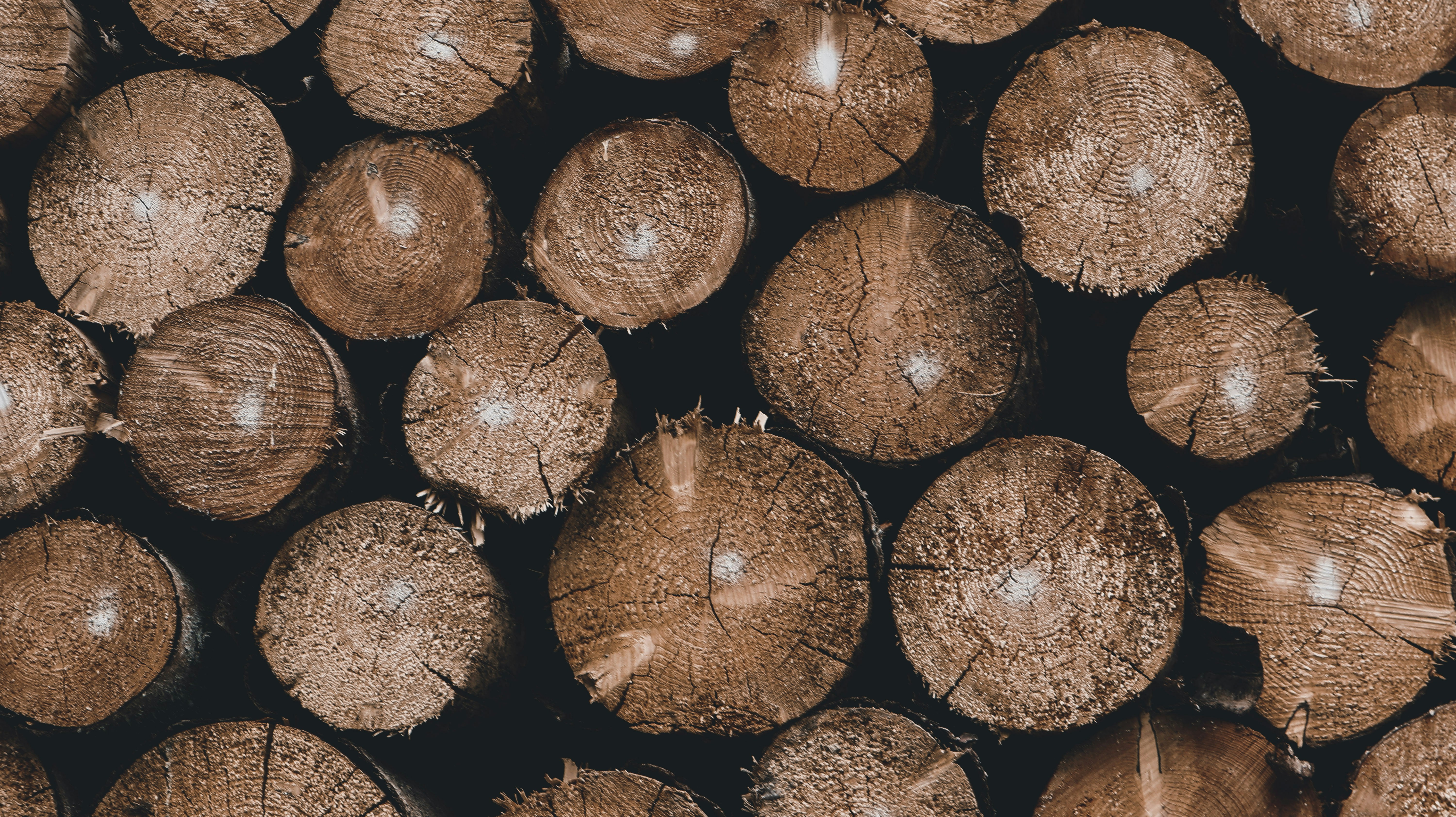 Photo by leakatharinafr