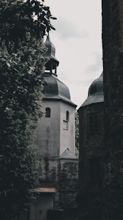 A gothic-style building with a distinctive tower and slate roof is partially obscured by dense trees. The architecture features arched windows and textured stone walls, casting a mysterious and historical ambiance.