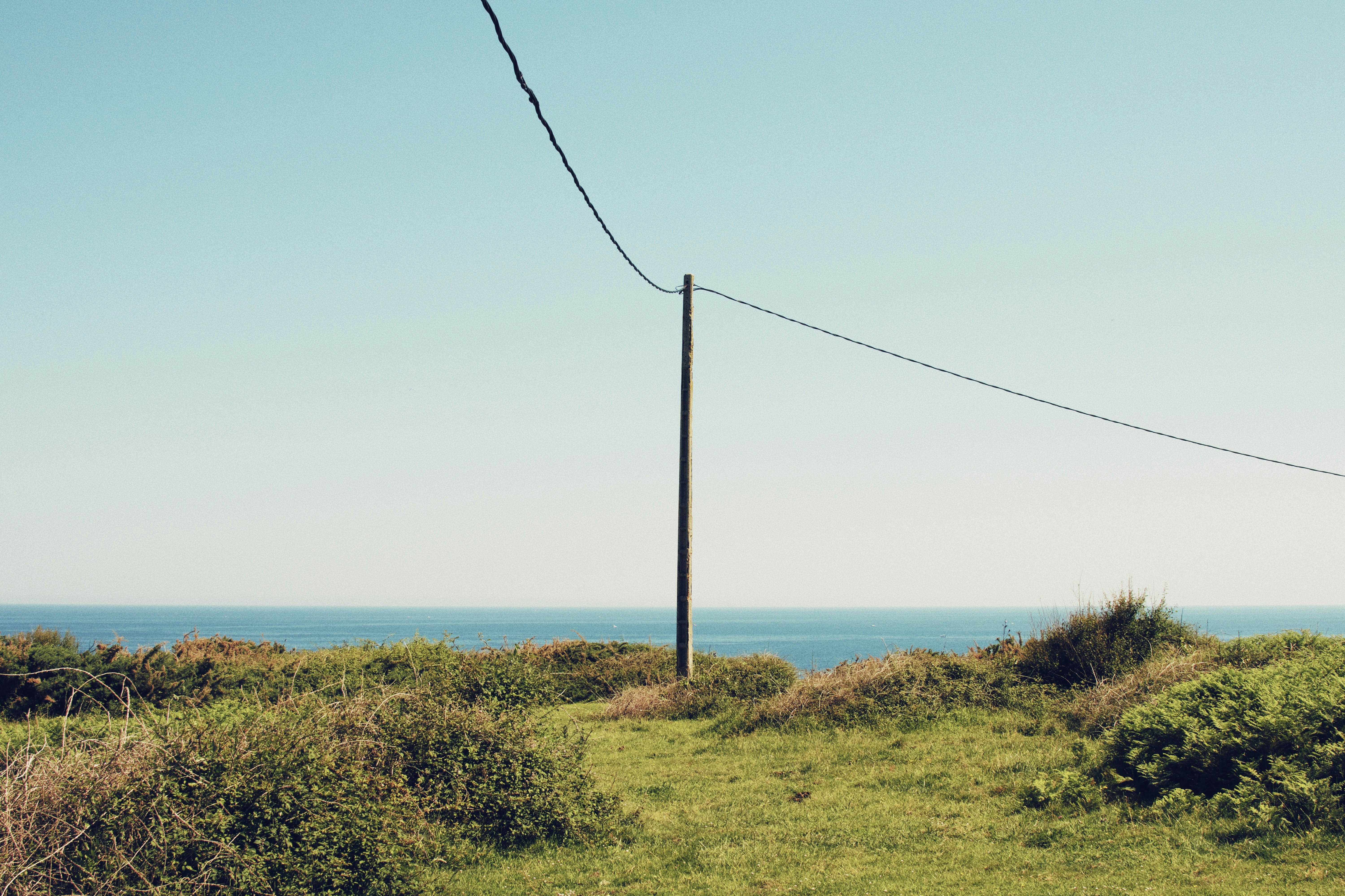 green grass field near body of water during daytime