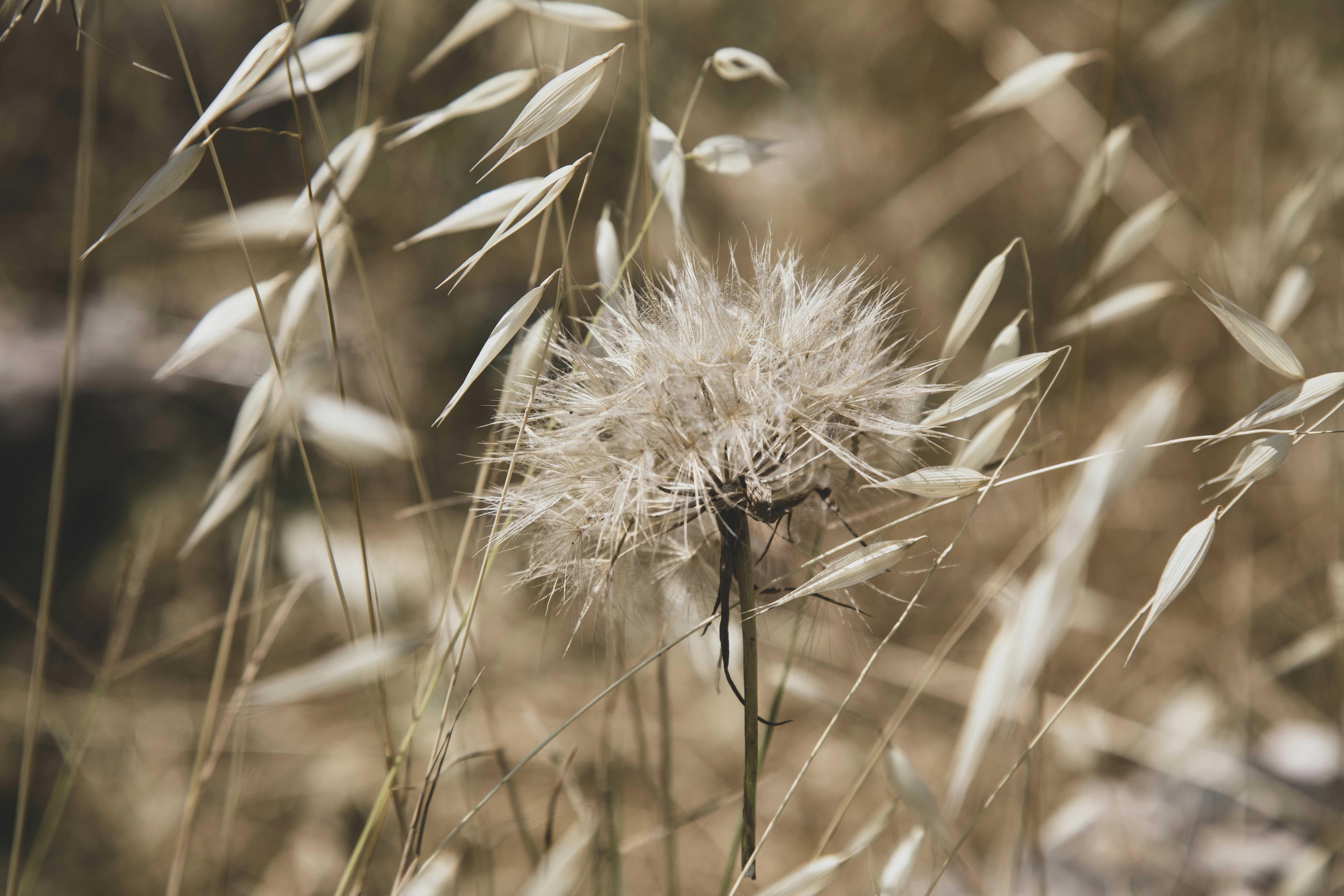 Photo by enginakyurt