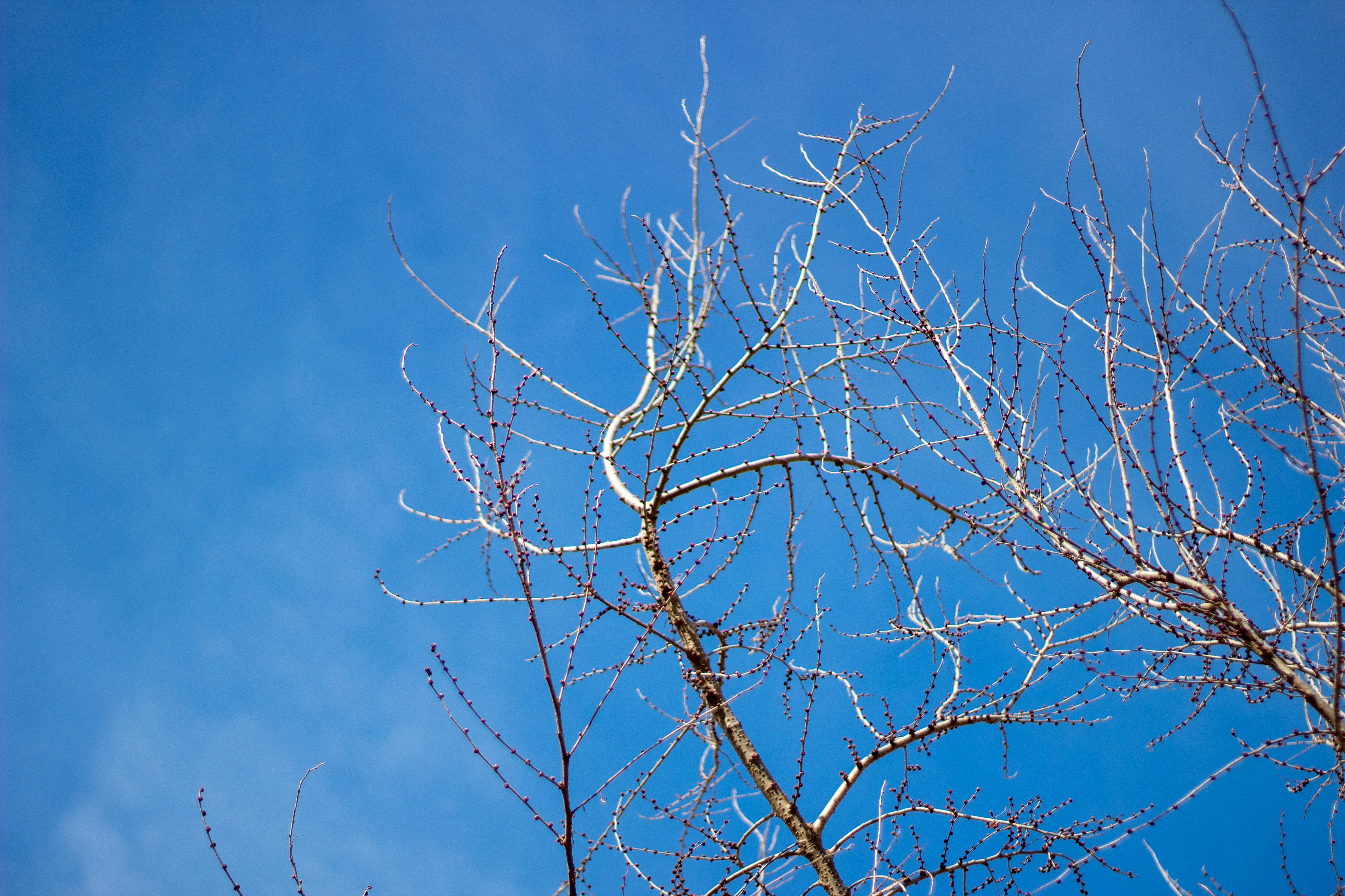 Photo by photoroutes