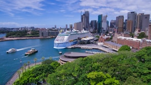 a cruise ship docked in a harbor with a city in the background
