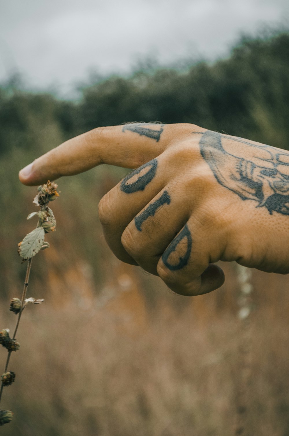 person holding white flower during daytime