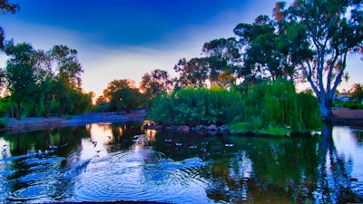 Sunset view over a tranquil pond surrounded by trees at the center