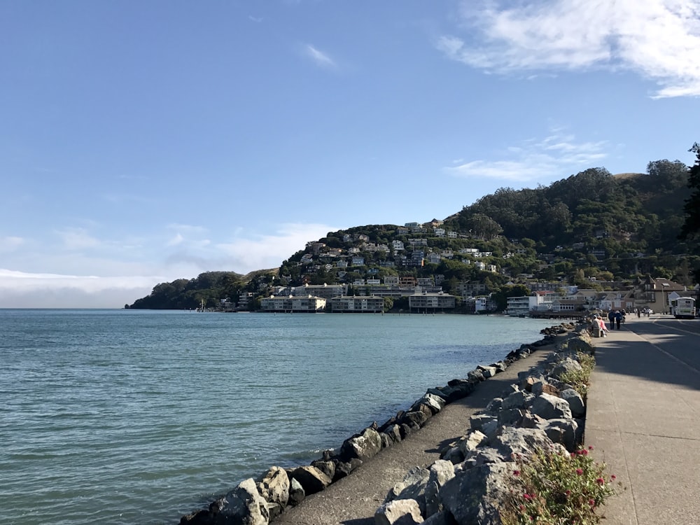 body of water near city buildings under blue sky during daytime