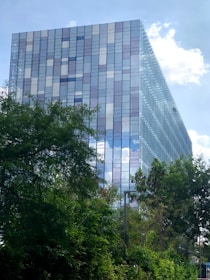 green trees near high rise building during daytime