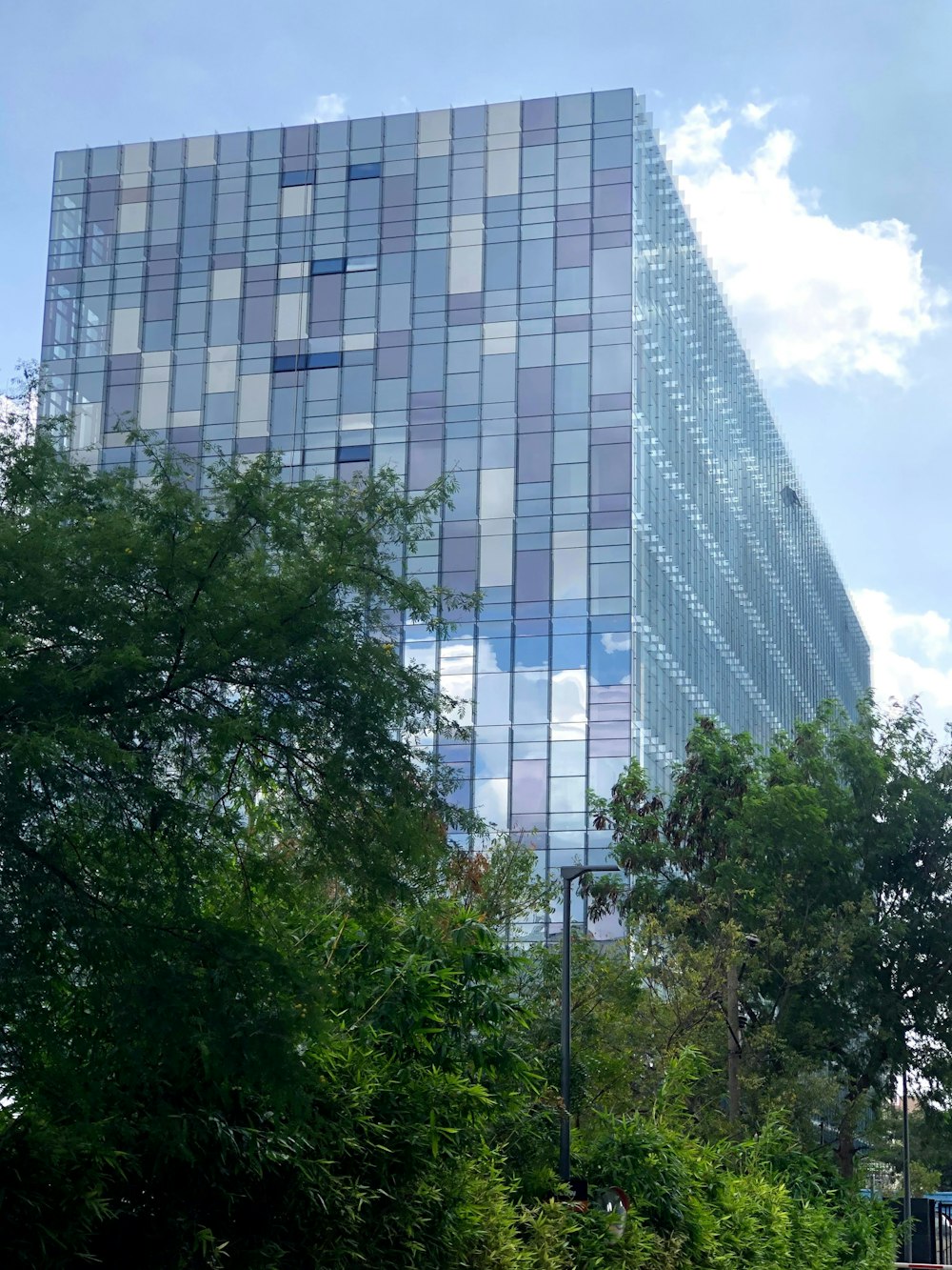 Árboles verdes cerca de edificios de gran altura durante el día