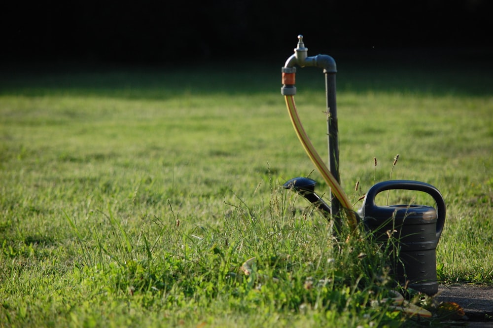 blue and black metal stand on green grass field during daytime