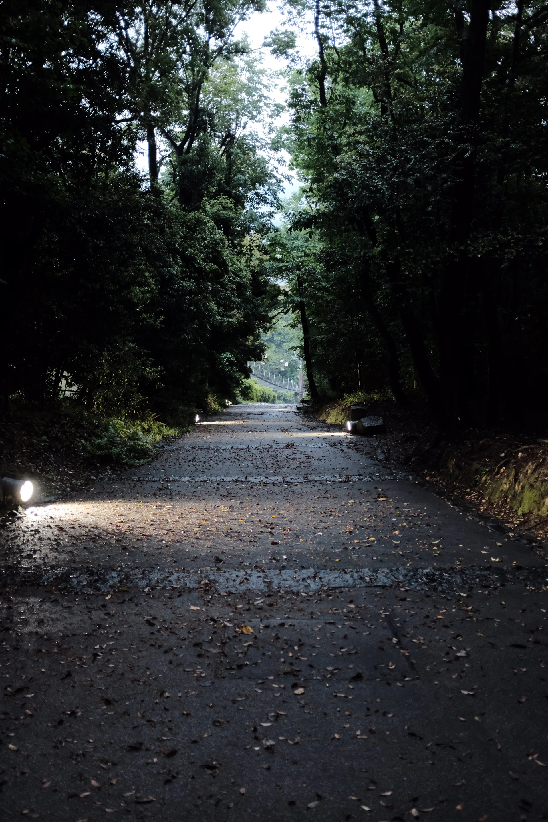 gray computer monitor