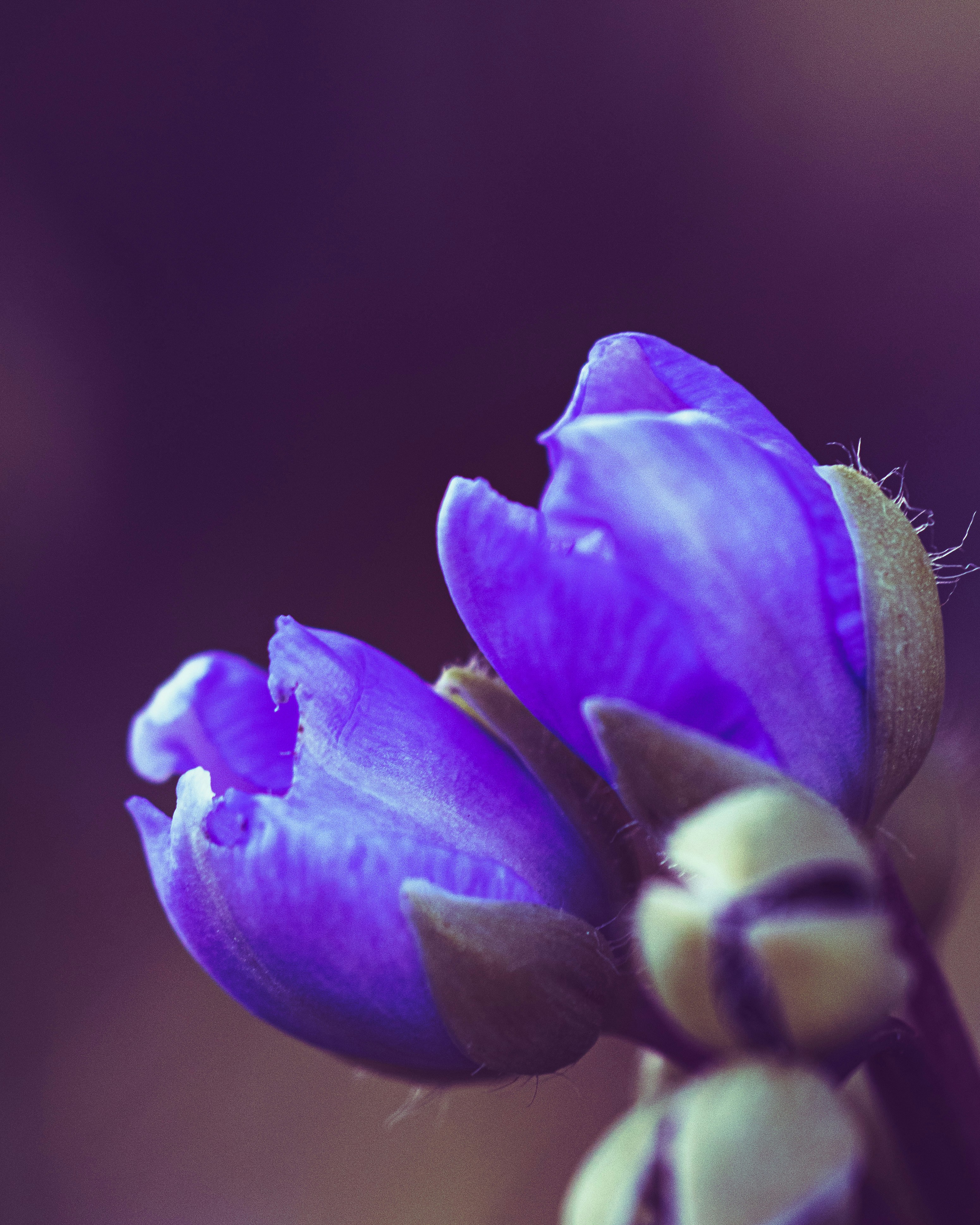 Photo by jeffrey_jpeg