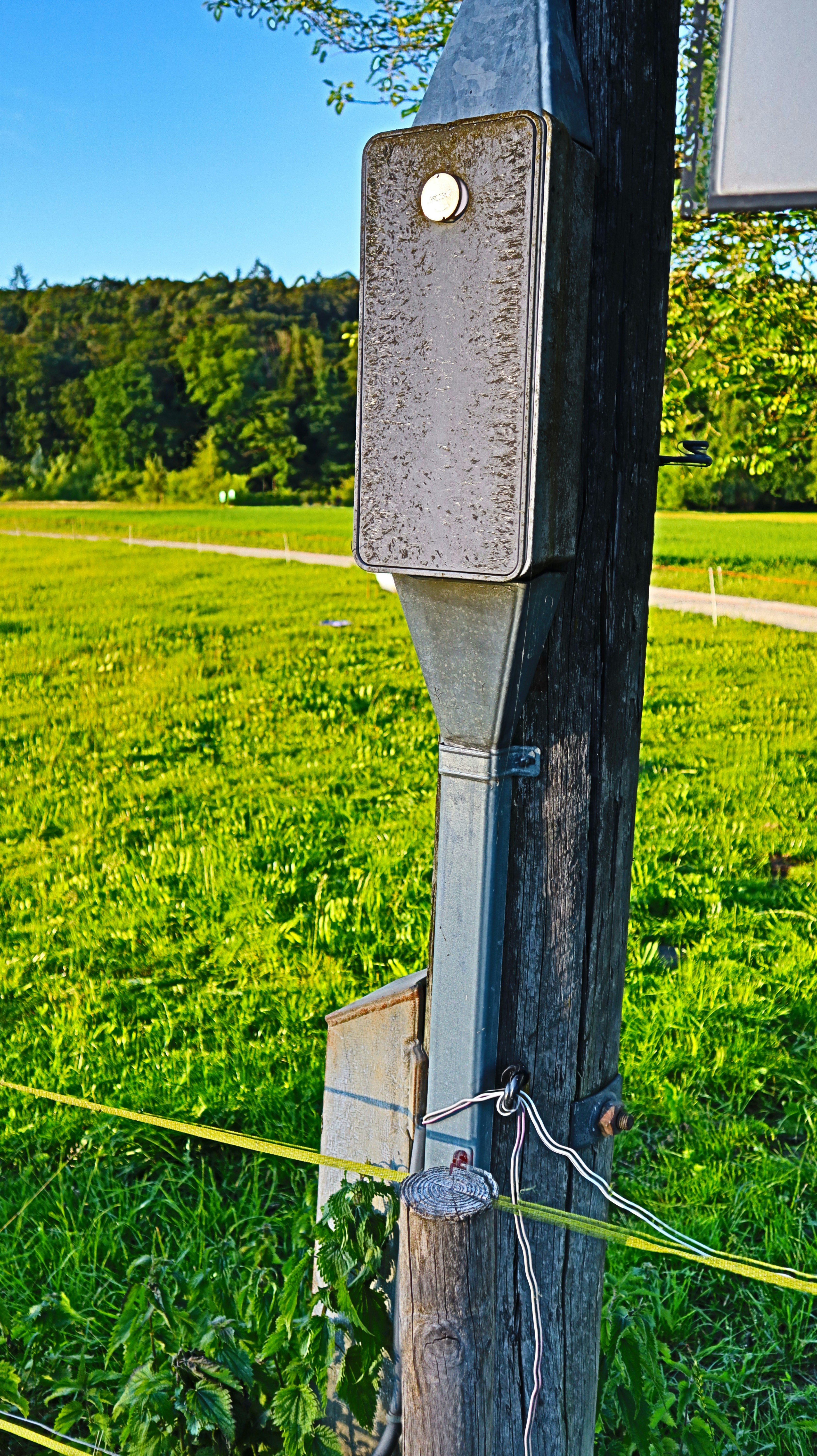 Essx Pole Vault Poles Sale