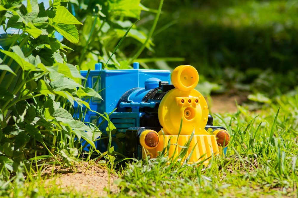 blue and yellow plastic toy train on green grass during daytime
