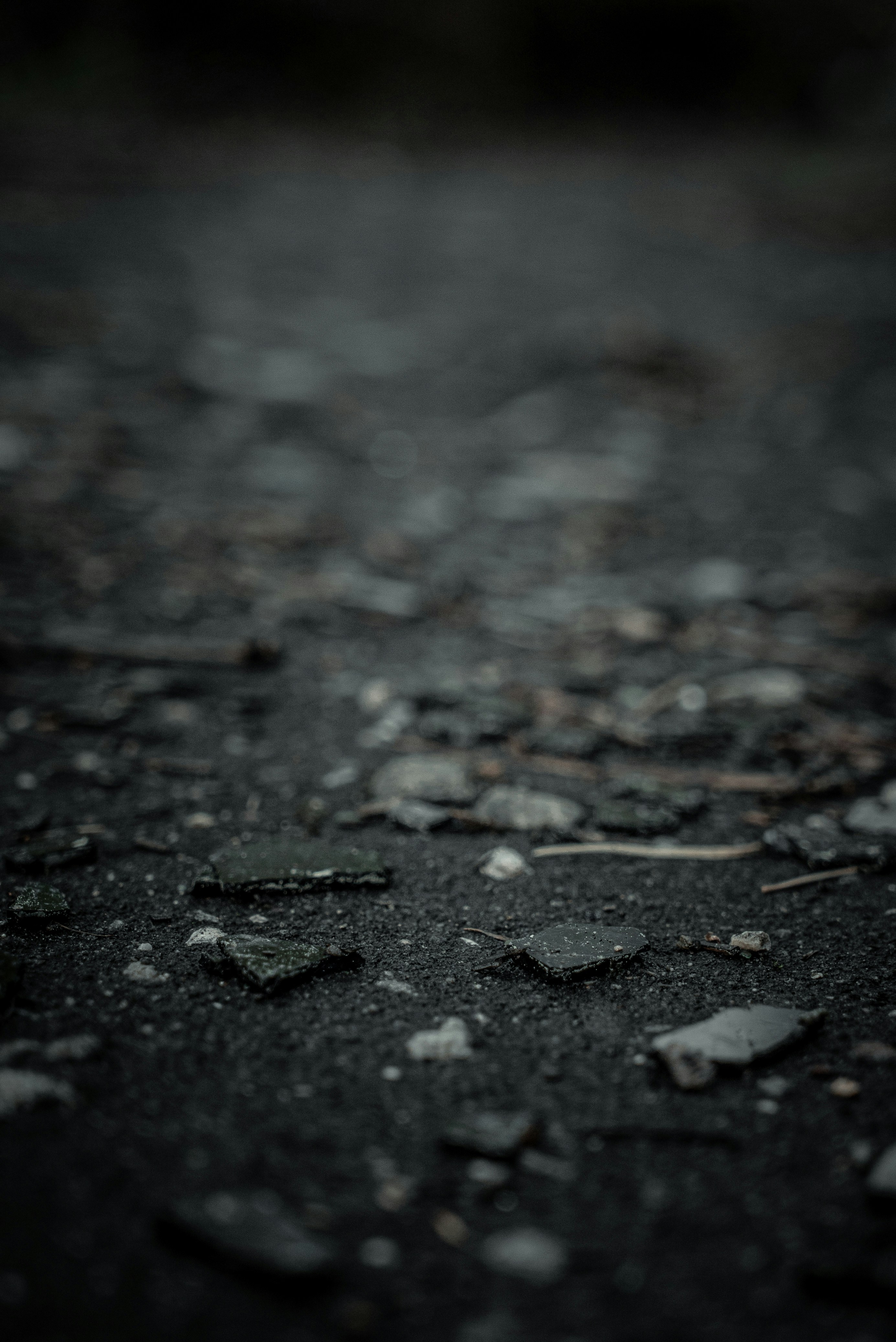 Photo by egor_vikhrev