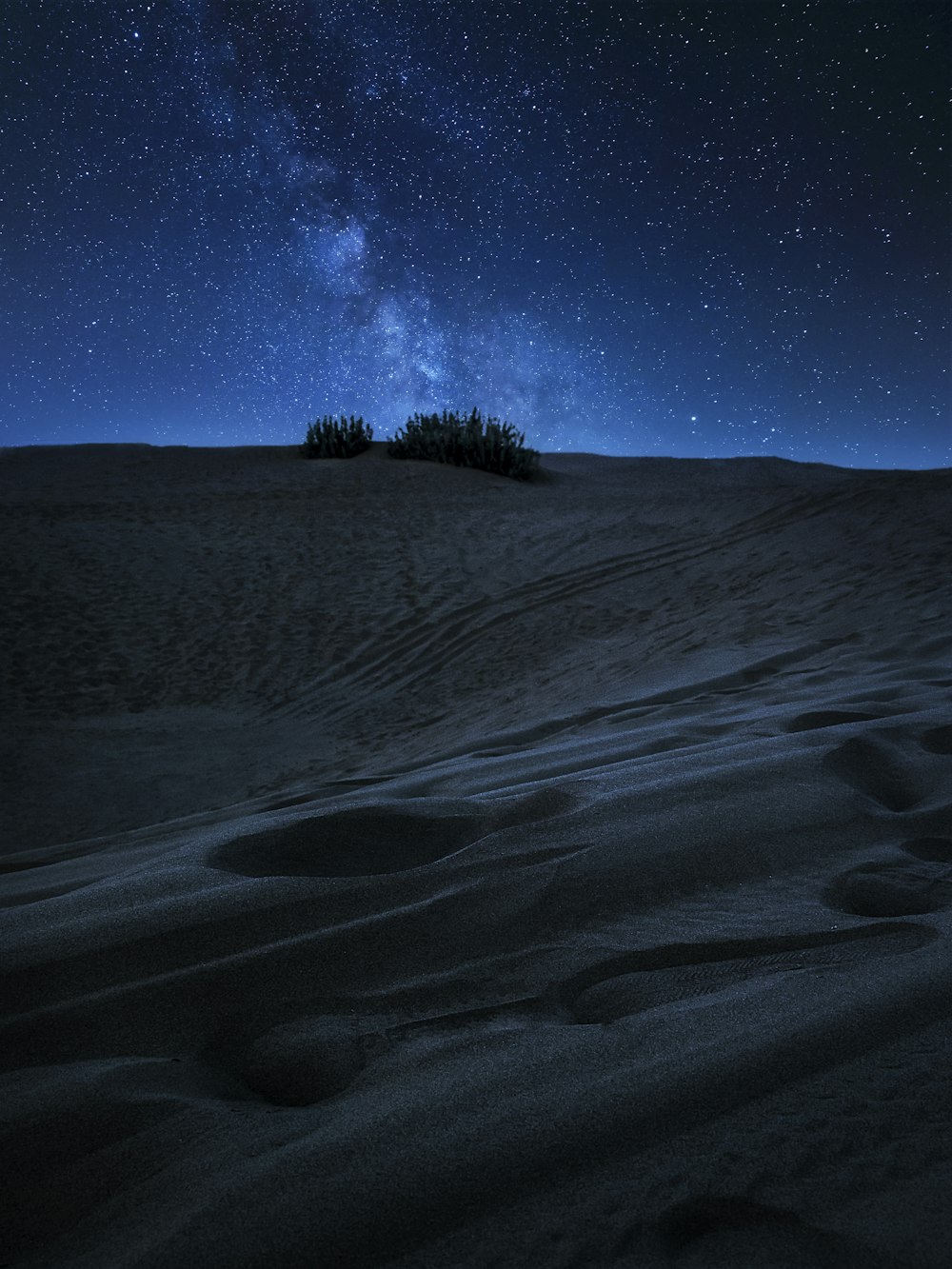 Silhouette von Bäumen auf schneebedecktem Feld unter blauem Himmel während der Nacht