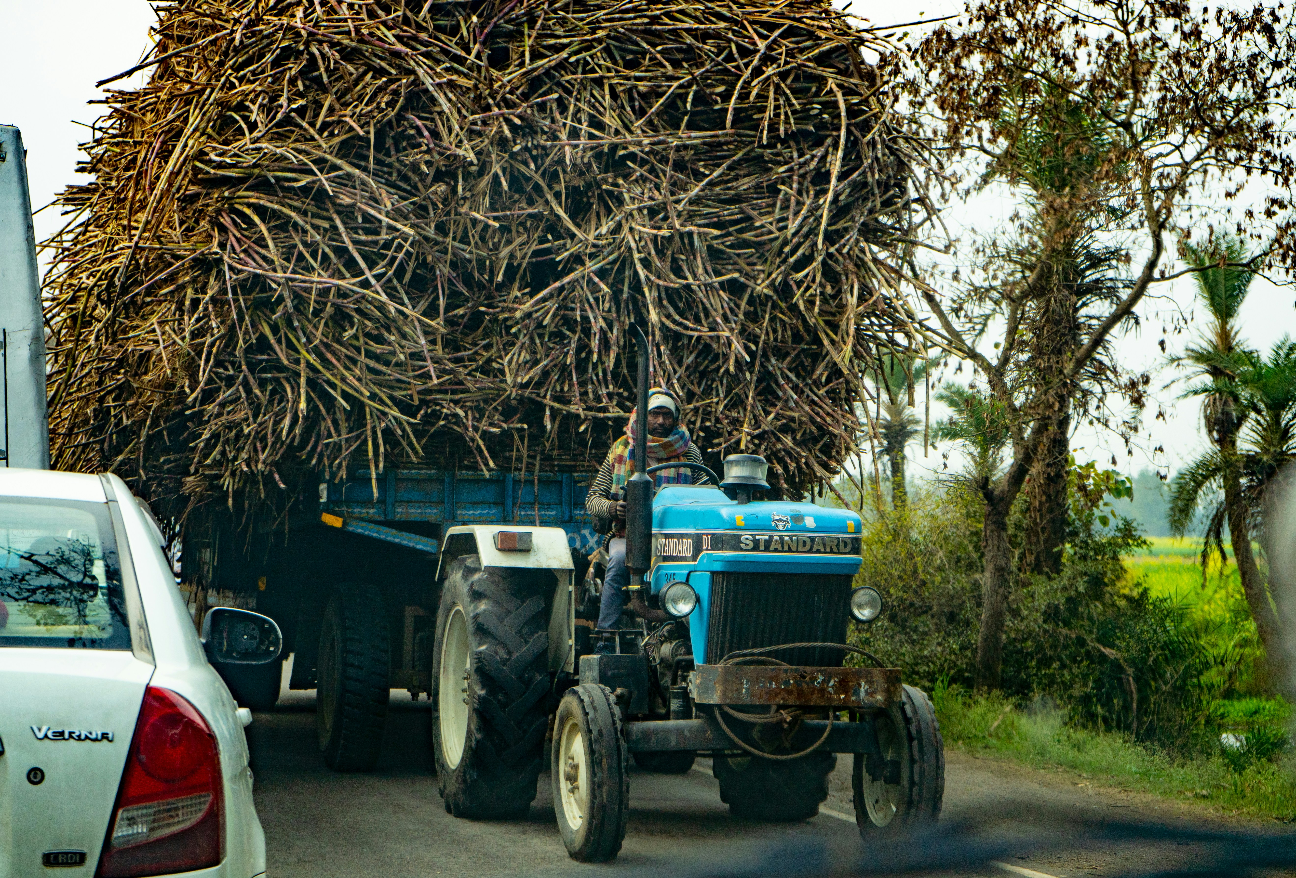 photo-1591015151204-c8aff4d20f2f?ixid=M3wxMjA3fDB8MXxzZWFyY2h8MTJ8fGFncm8lMjBleHBvcnQlMjBzZXJ2aWNlc3xlbnwwfHx8fDE3NzAwNzgwMjZ8MA\u0026ixlib=rb-4.1.0