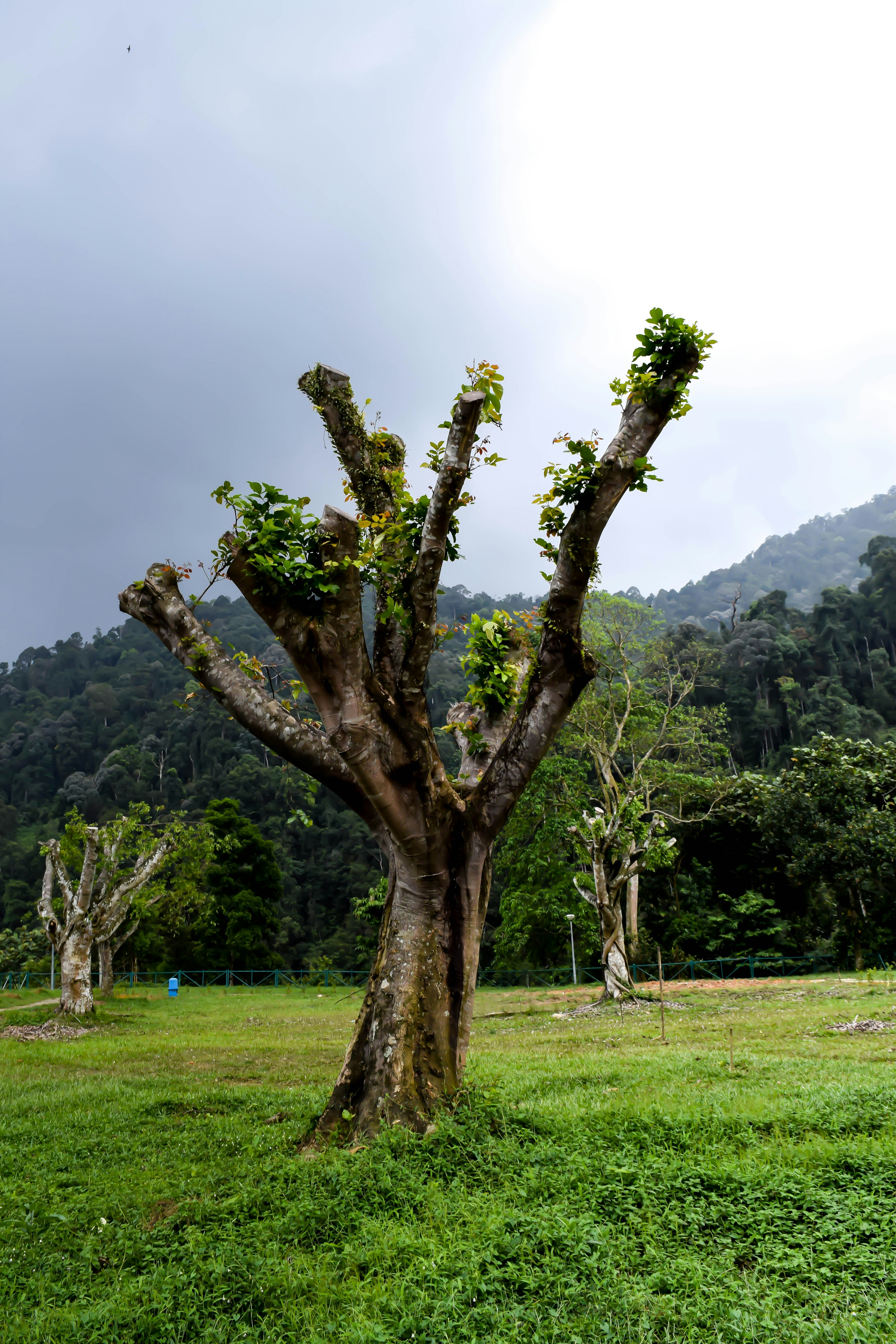 Photo by ravinrau