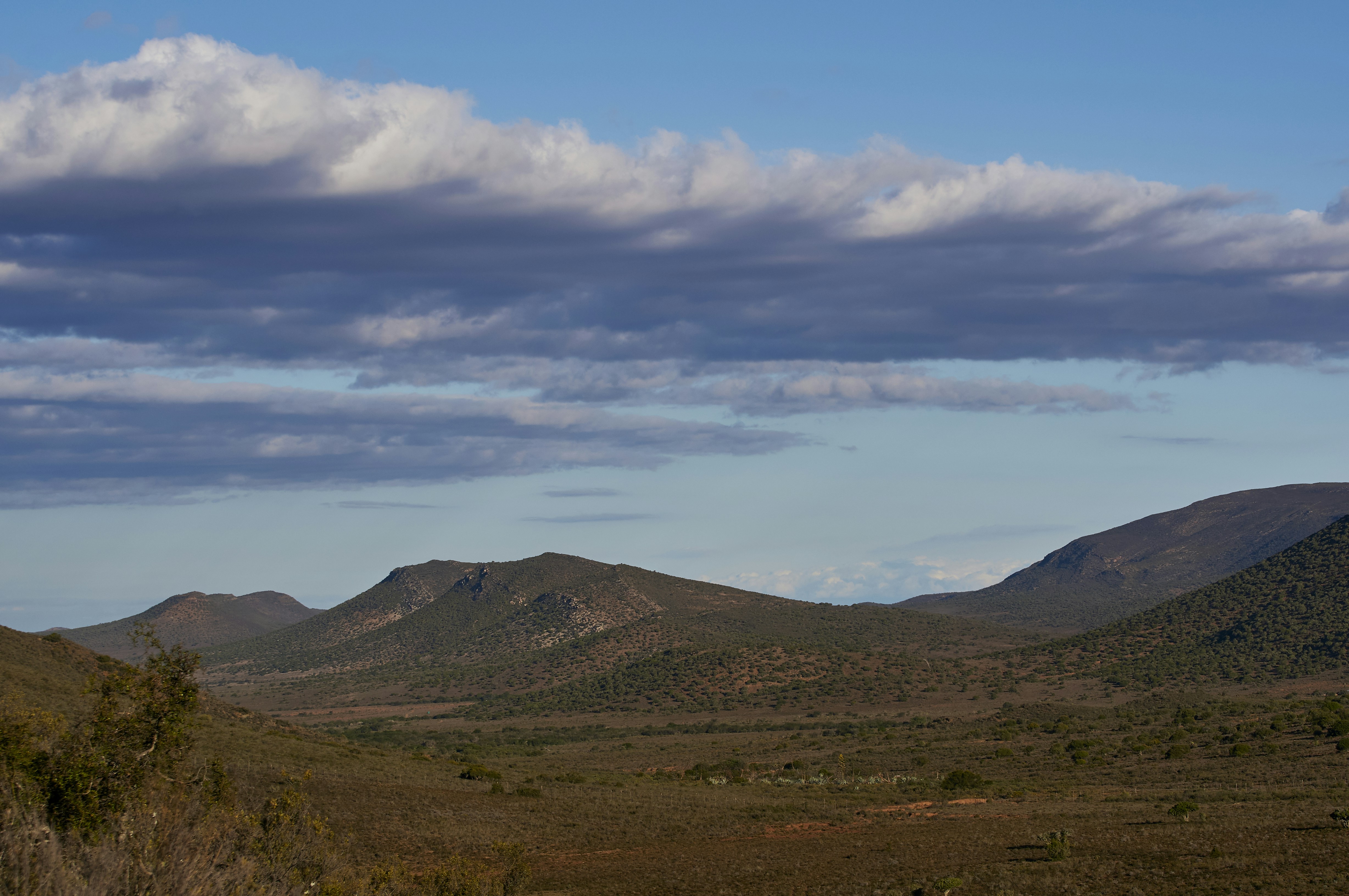 Photo by wolfgang_hasselmann