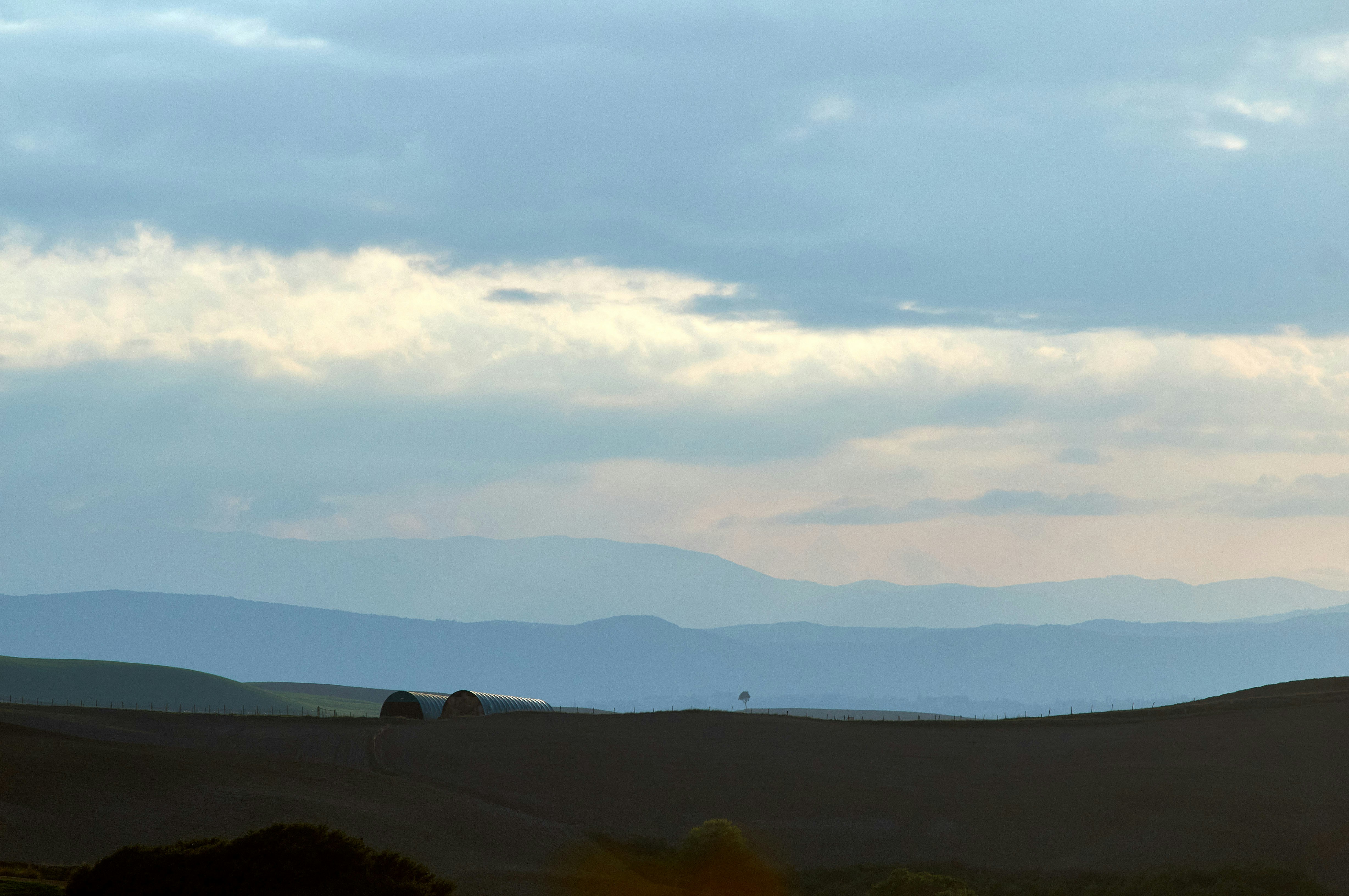 Photo by wolfgang_hasselmann