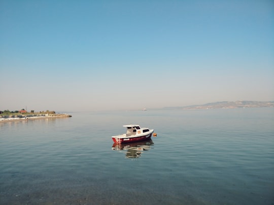 white and red boat on sea during daytime in Lapseki Turkey