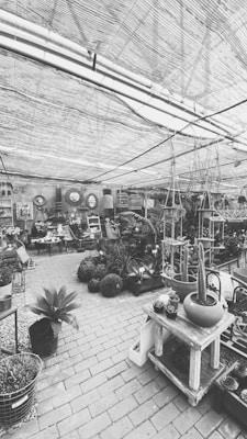 A greenhouse-like space filled with various potted plants, including succulents and cacti, arranged on tables and shelves made of wood. The ceiling is covered with a mesh canopy, allowing diffused light to illuminate the area. The flooring consists of brick paving, giving the space a rustic and natural feel. Gardening tools and decorative items can be seen in the background.